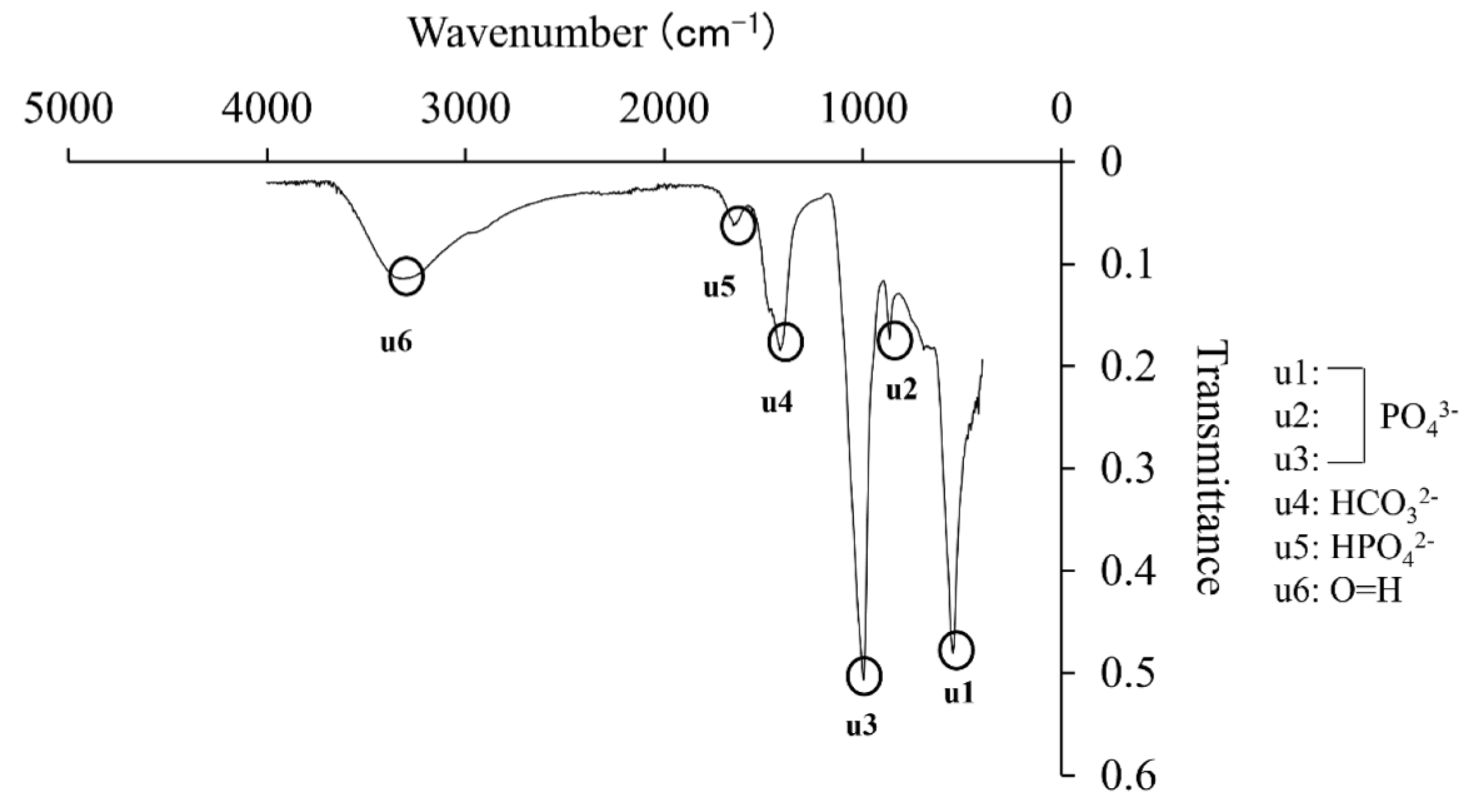 Materials 14 05143 g006 Materials 14 05143 g006