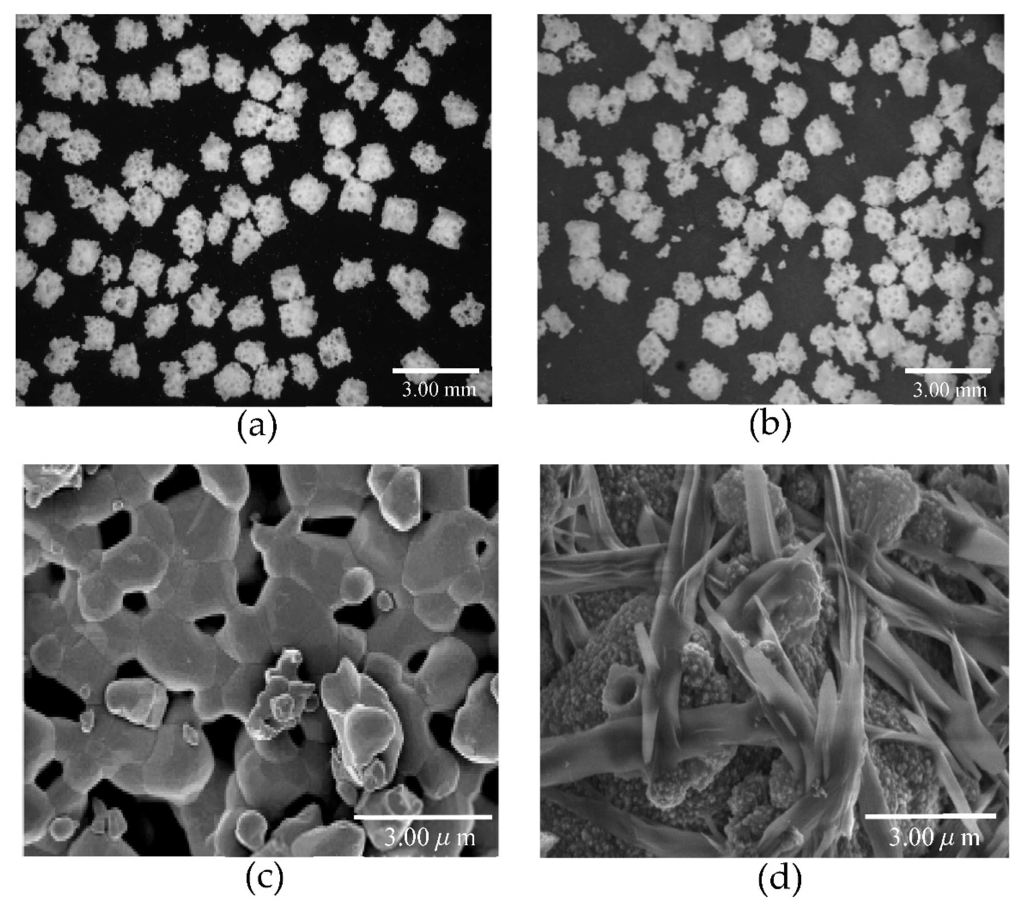 Materials 14 05143 g007 Materials 14 05143 g007