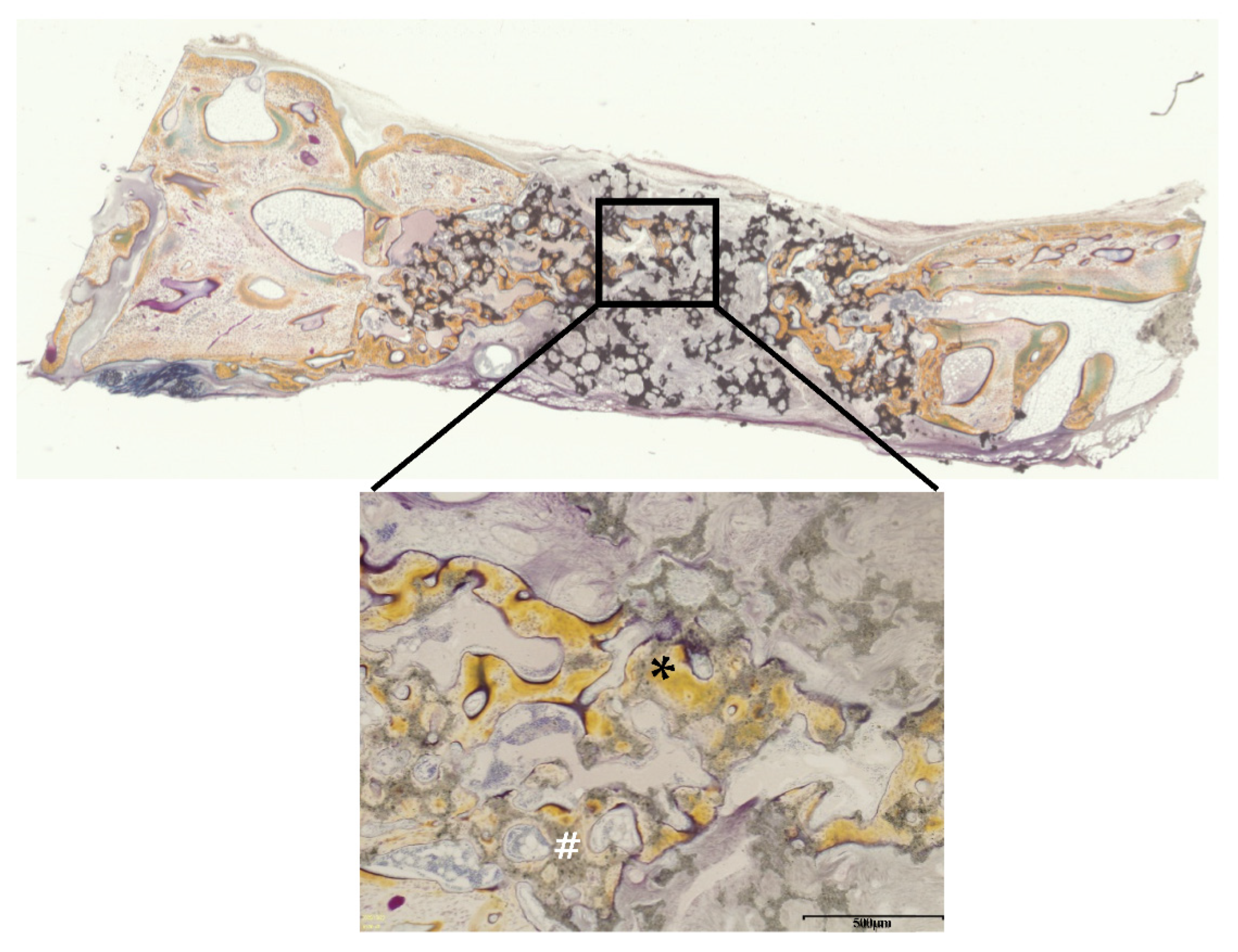 Materials 14 05143 g015 Materials 14 05143 g015