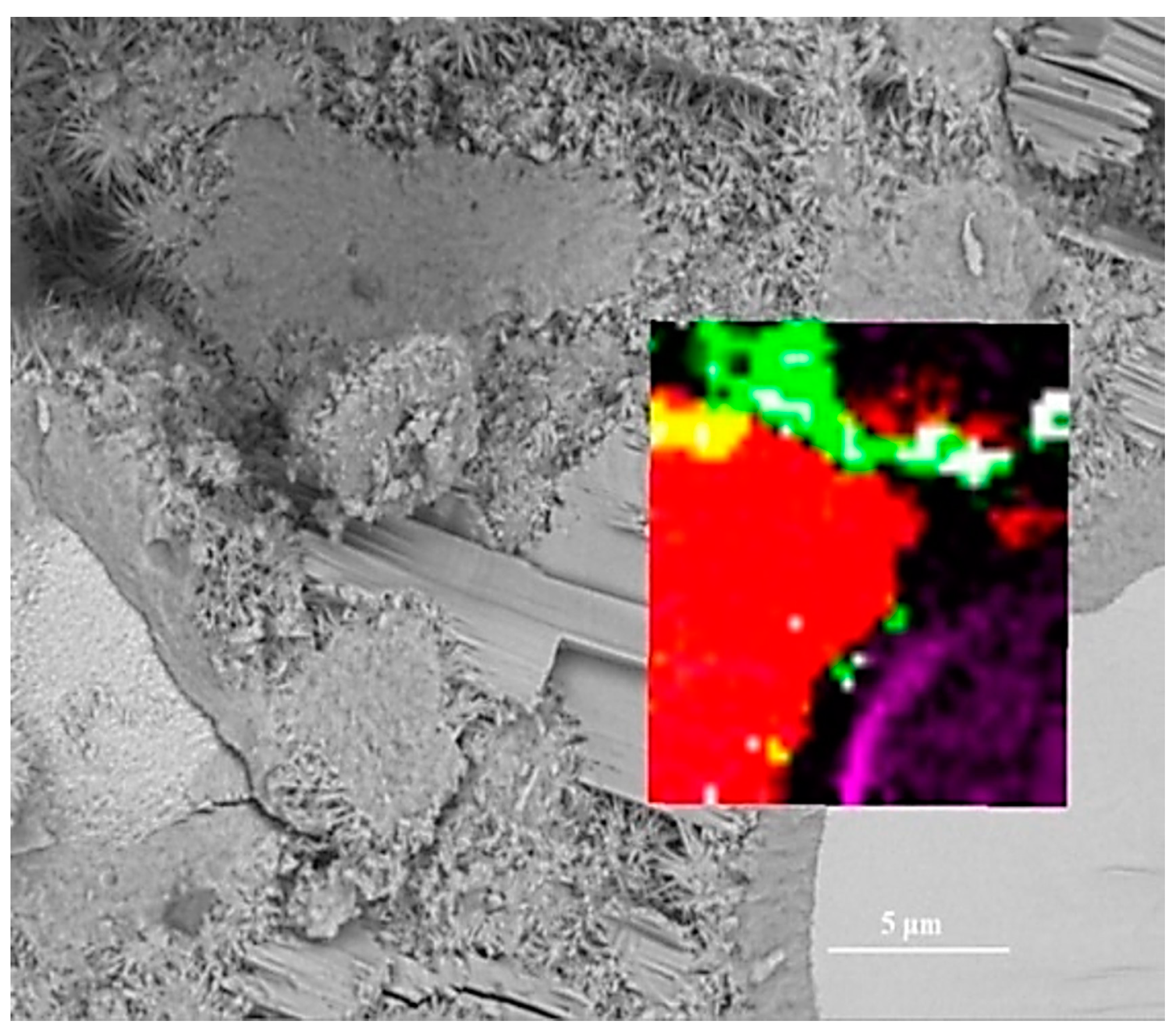 Materials 14 05144 g004 550