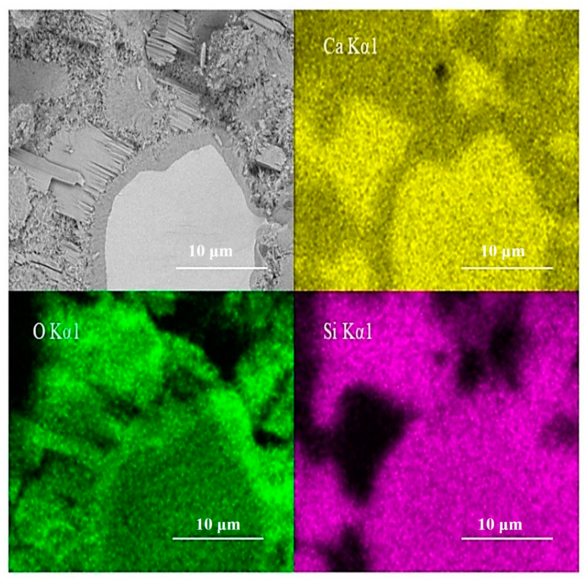 Materials 14 05144 g011 550