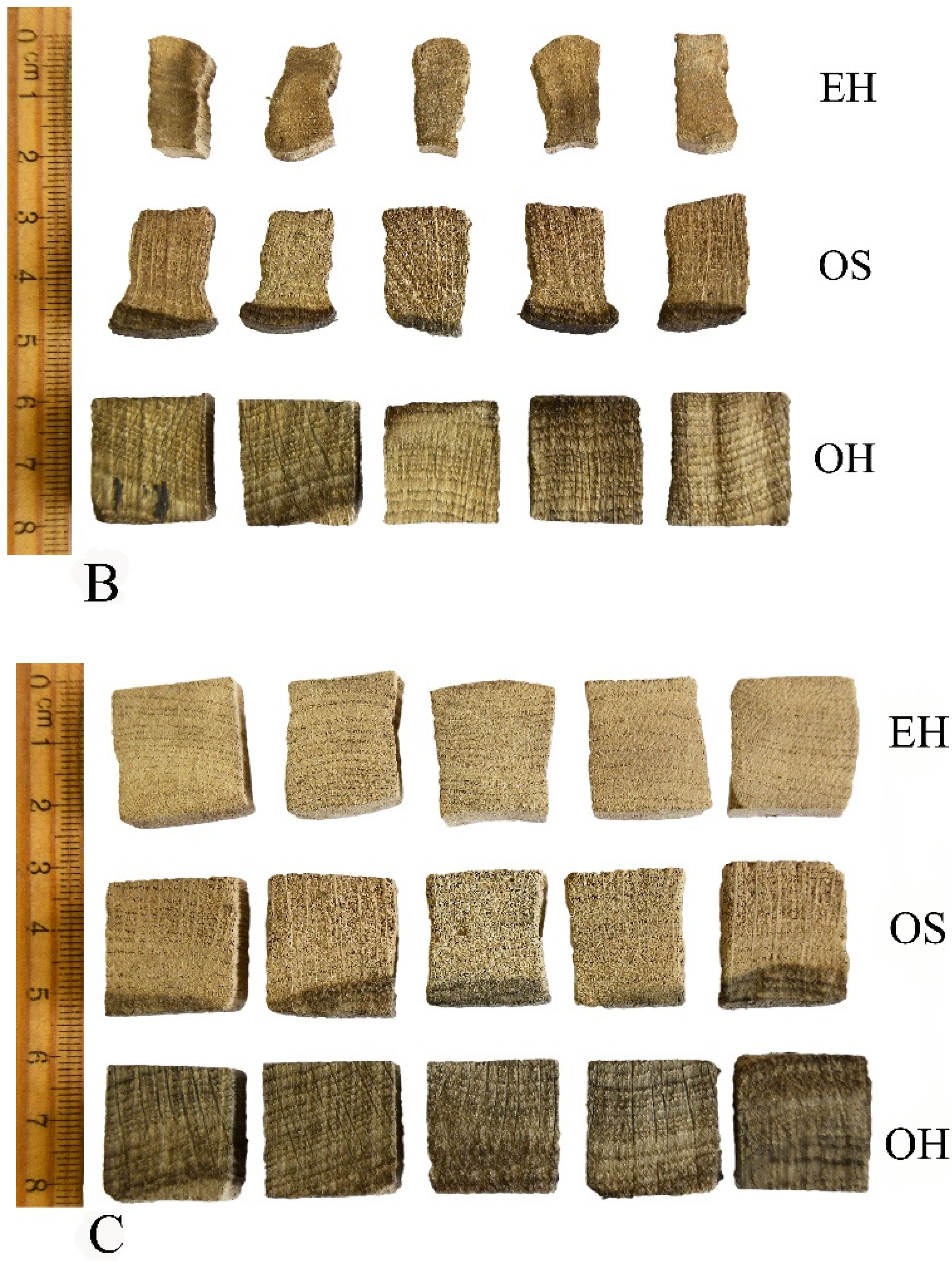 Materials 14 05150 g001b Materials 14 05150 g001b