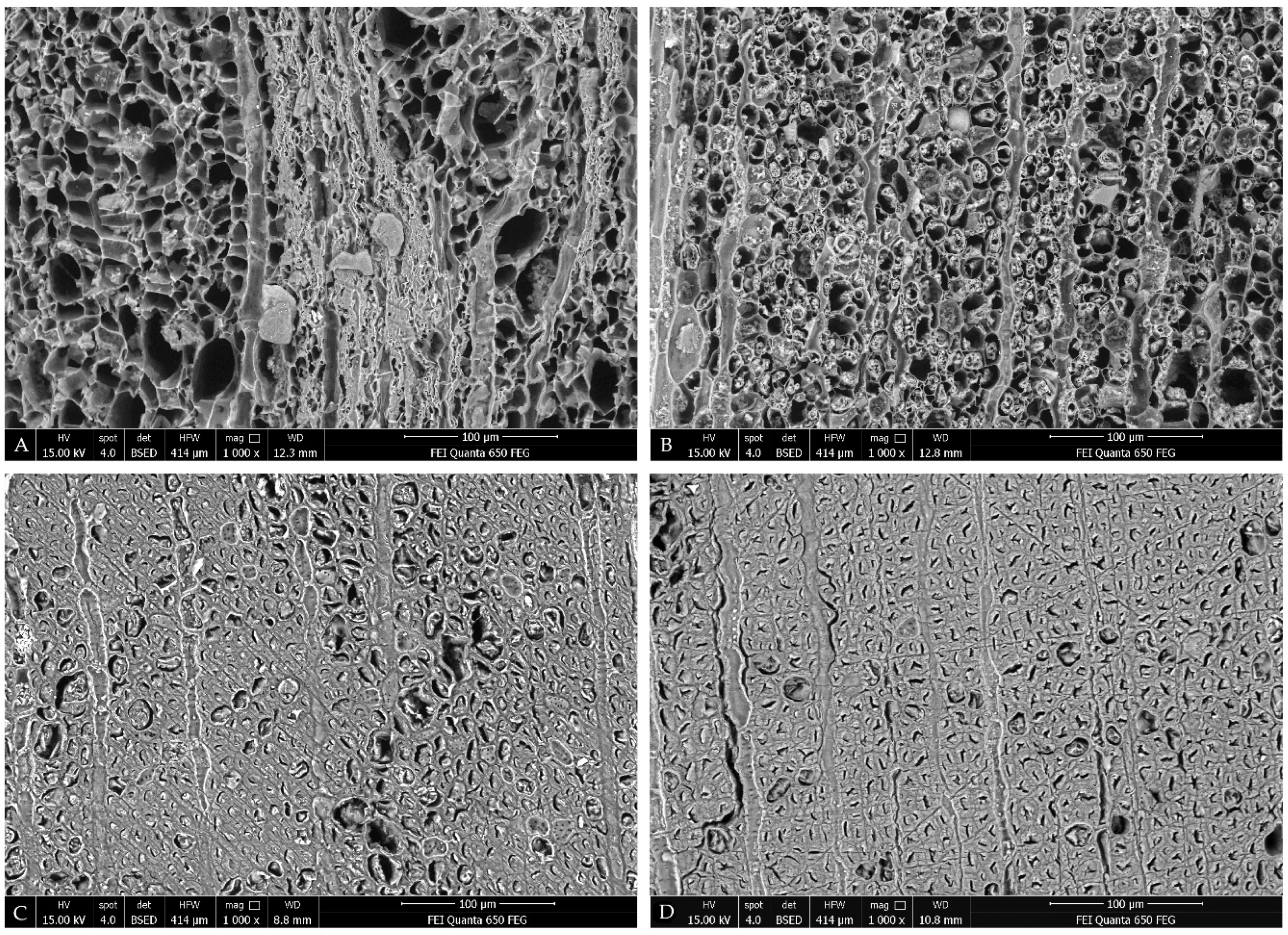 Materials 14 05150 g003 Materials 14 05150 g003