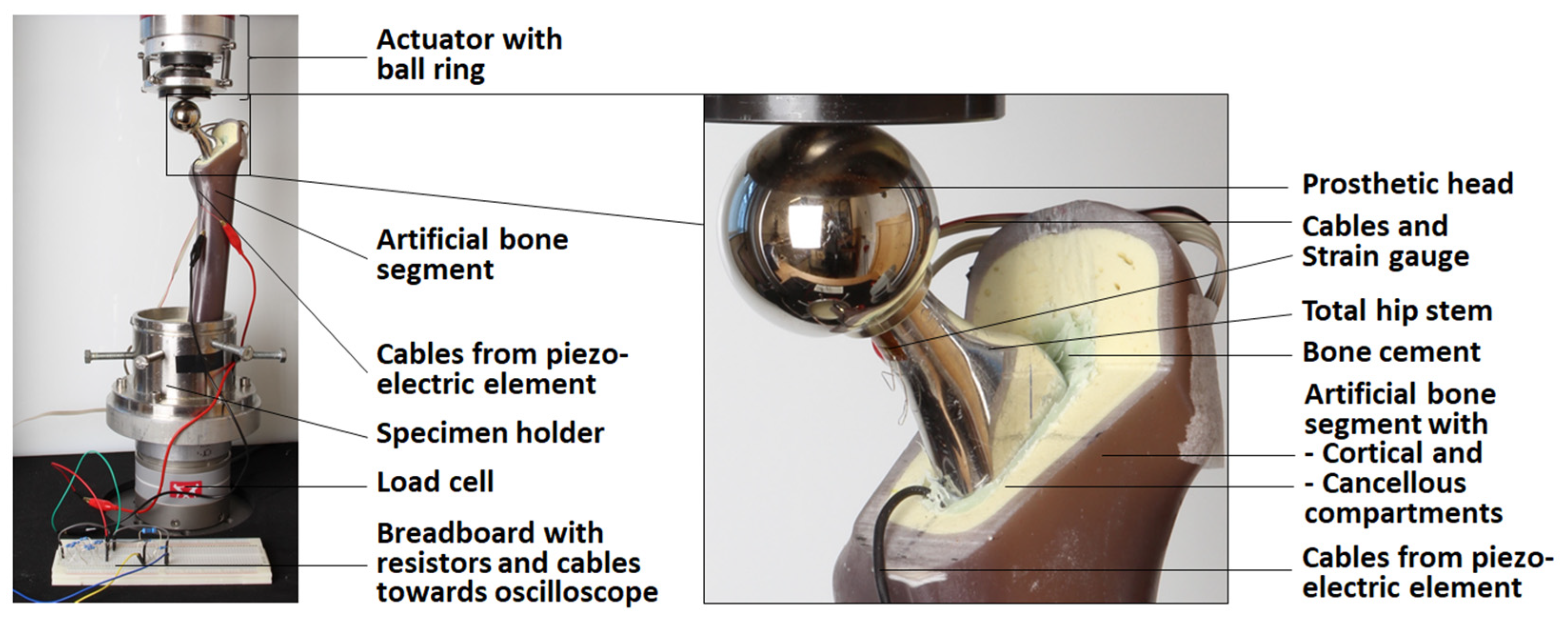 Materials 14 05151 g003