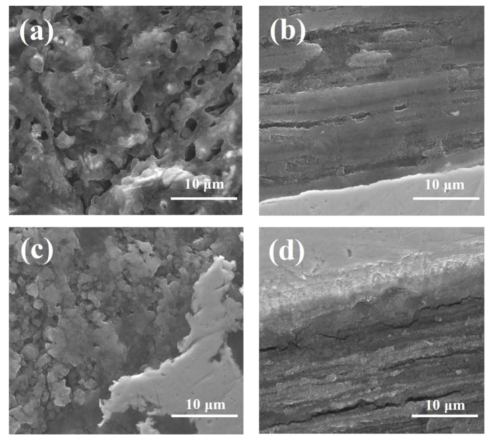 Materials 14 05152 g002