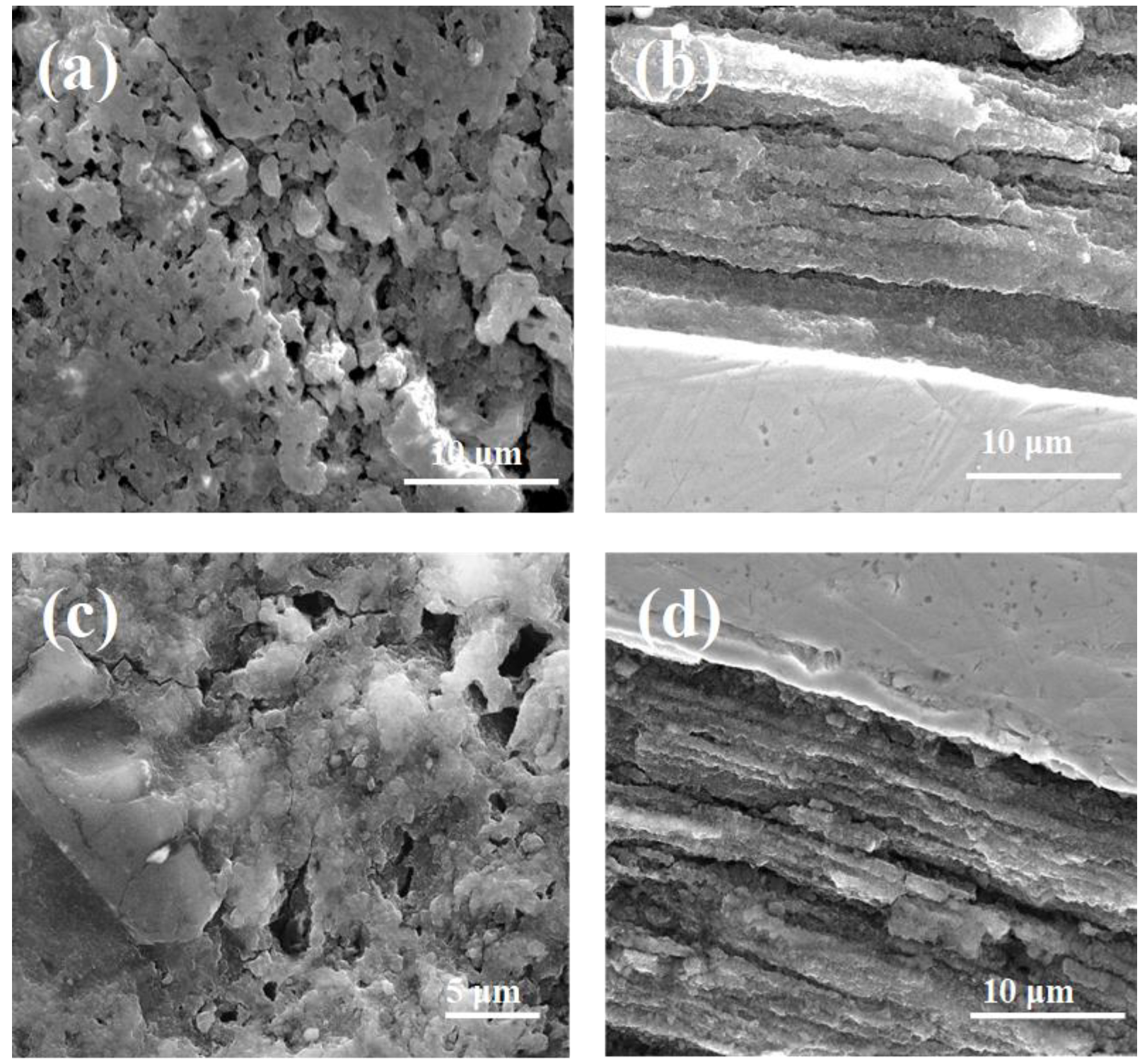 Materials 14 05152 g003