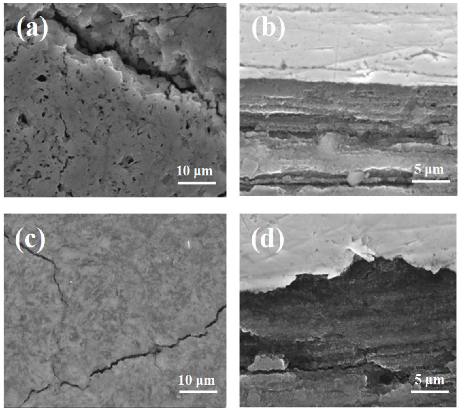 Materials 14 05152 g004