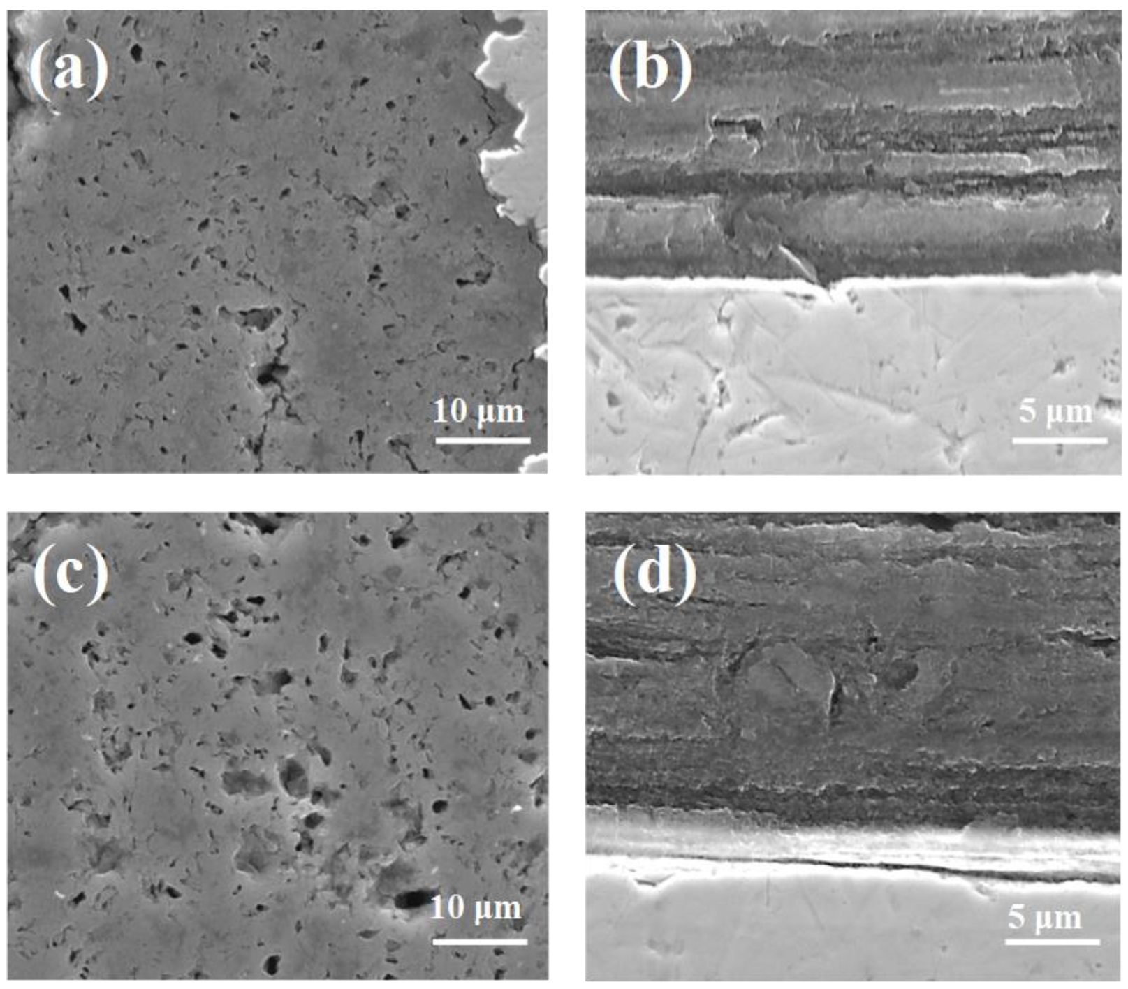 Materials 14 05152 g005