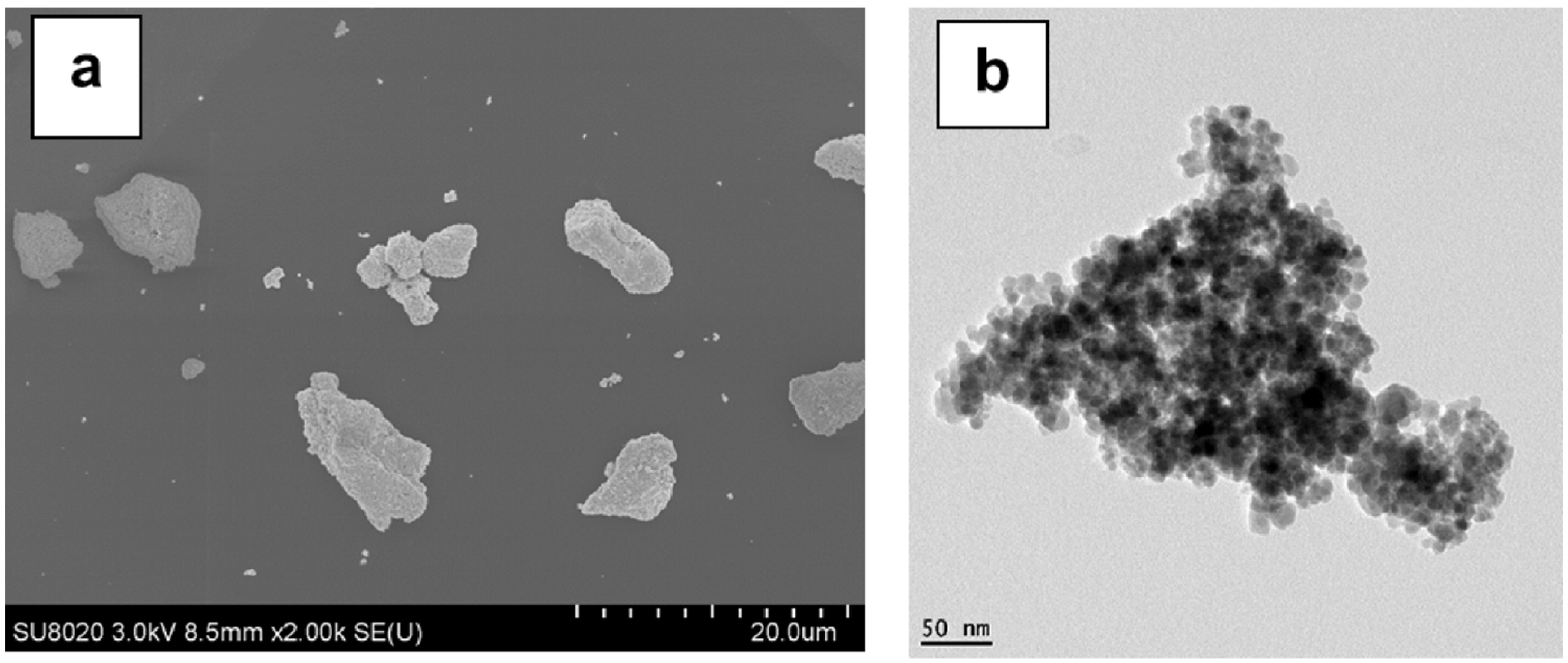 Materials 14 05154 g009 Materials 14 05154 g009