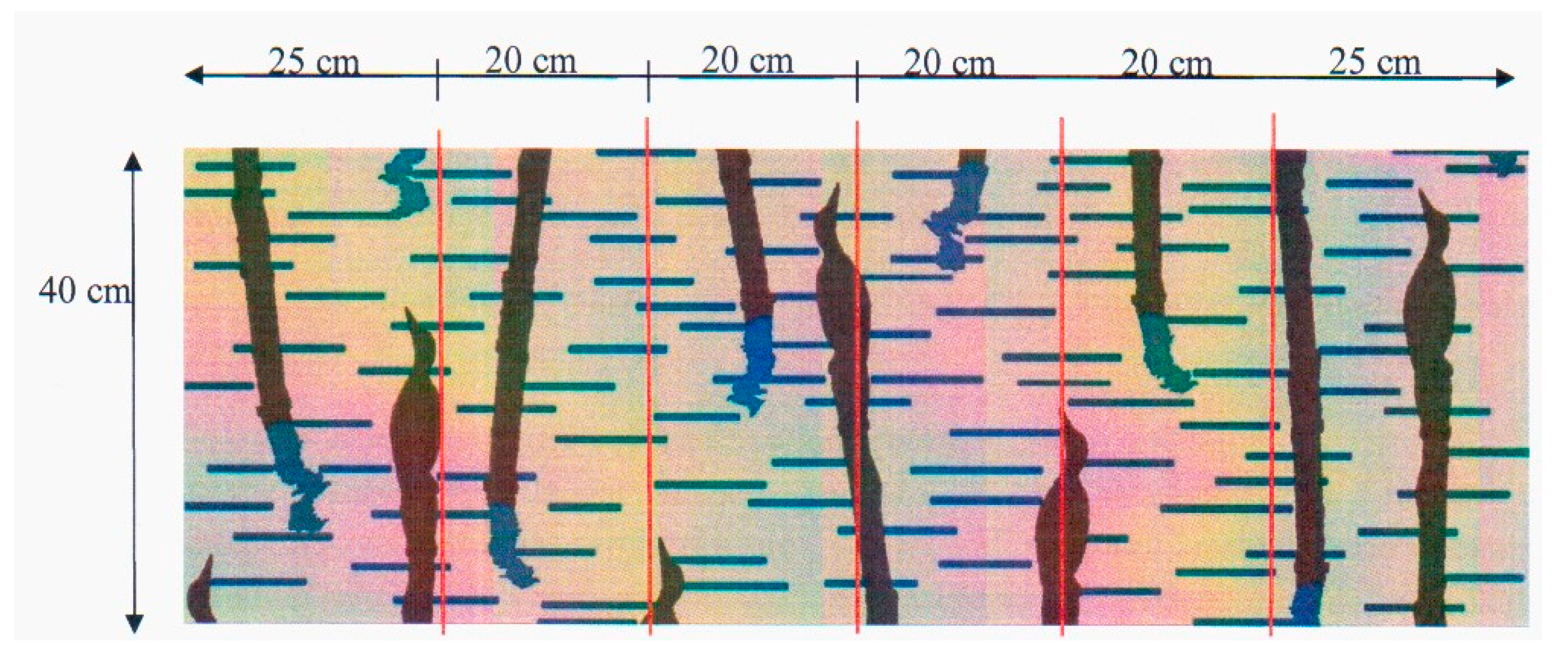 Materials 14 05157 g004 550