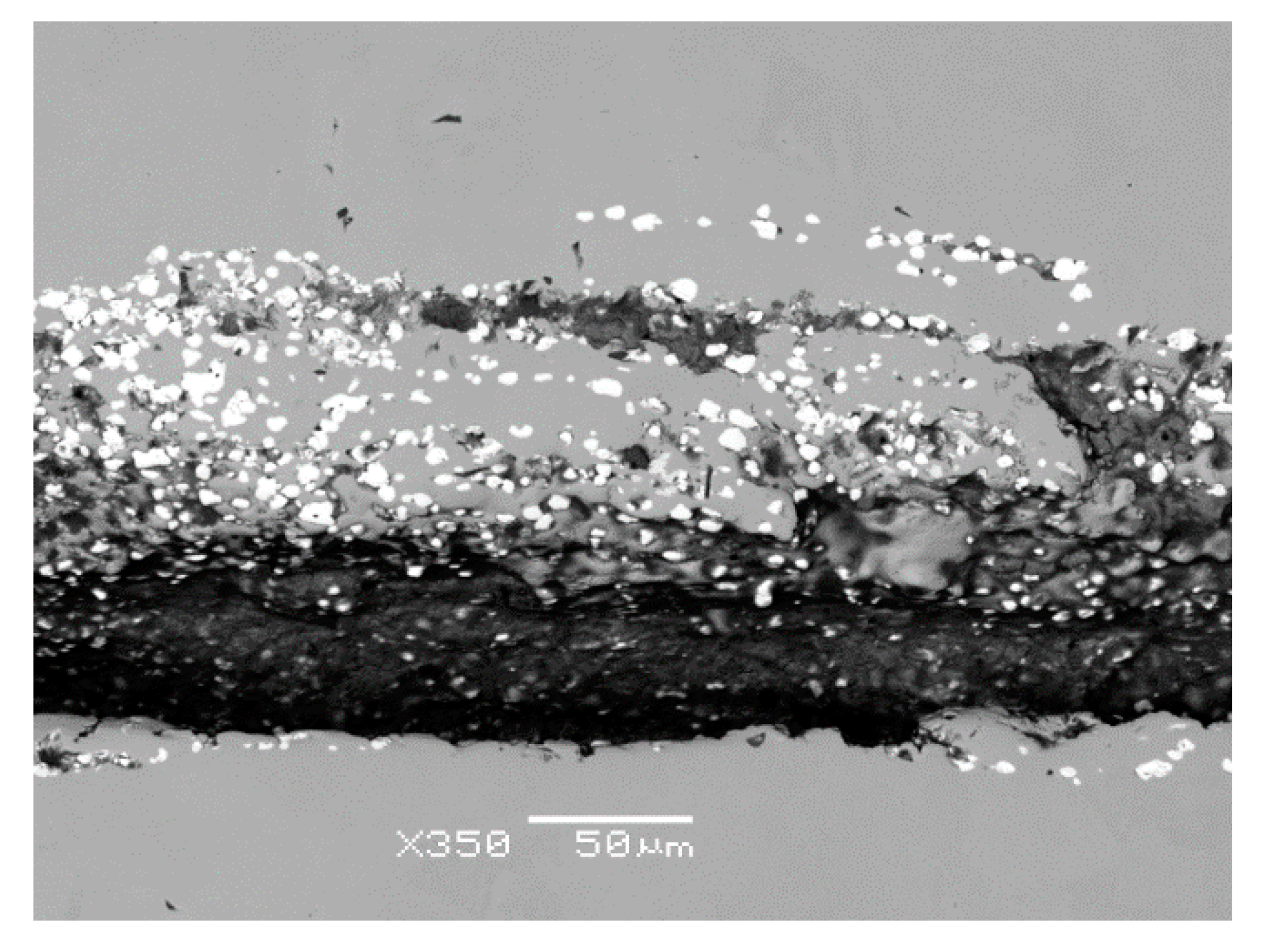 Materials 14 05160 g008 550