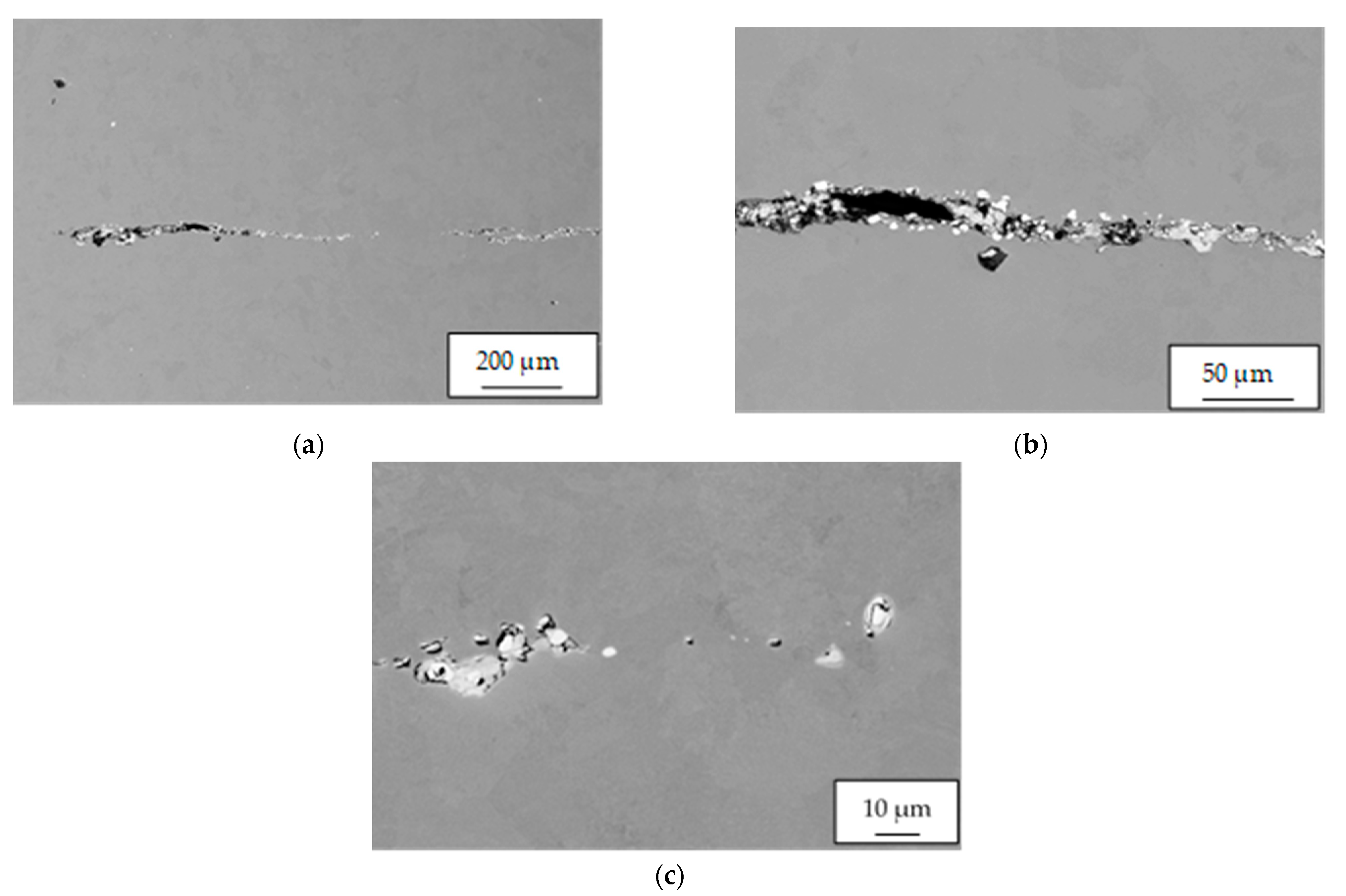 Materials 14 05160 g011 550