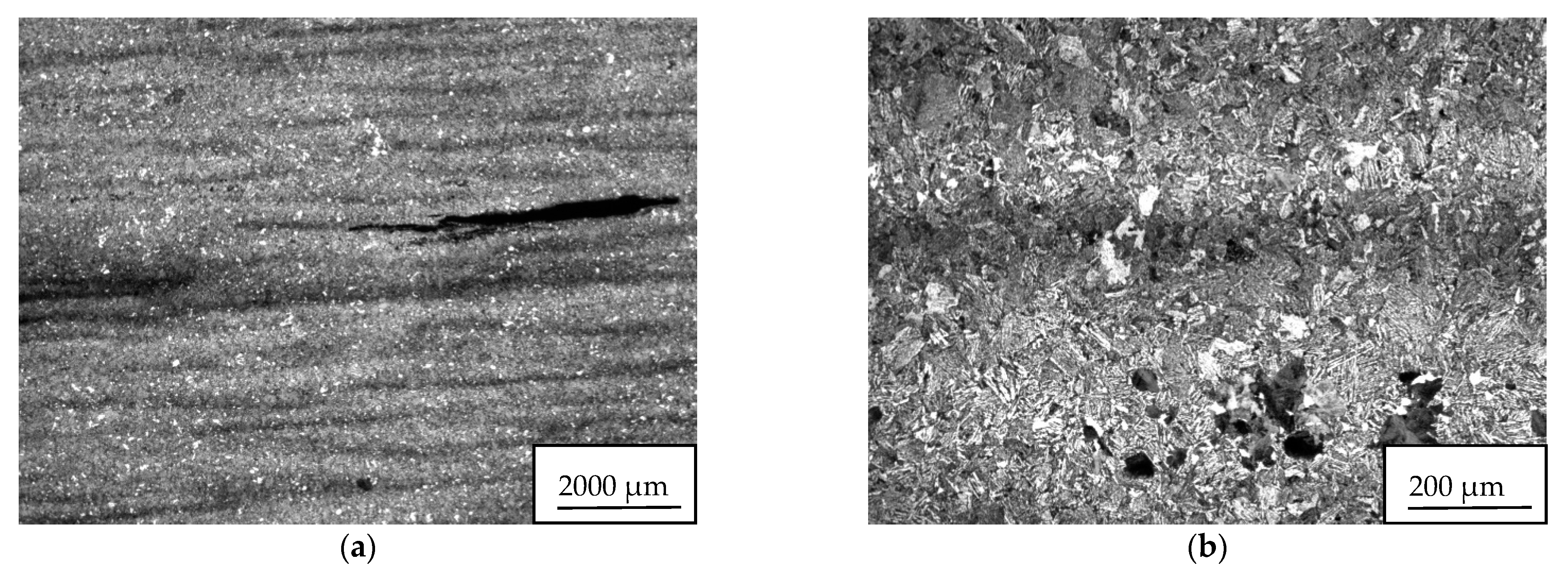 Materials 14 05160 g013a 550