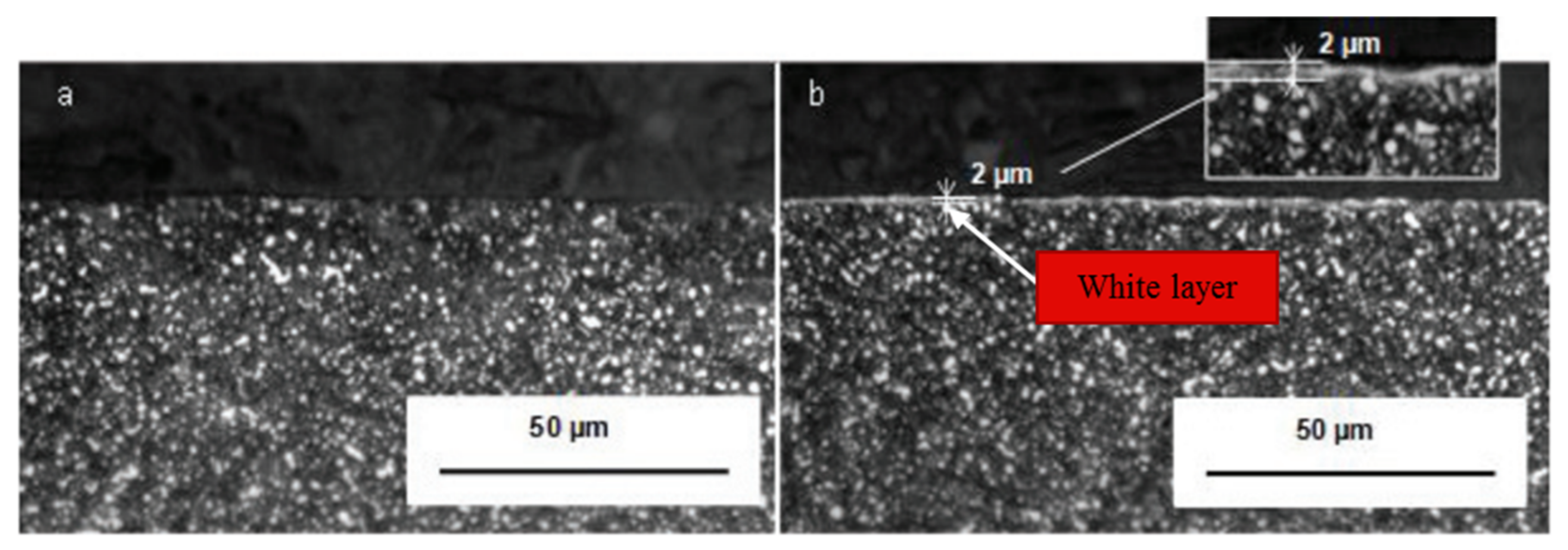 Materials 14 05162 g017