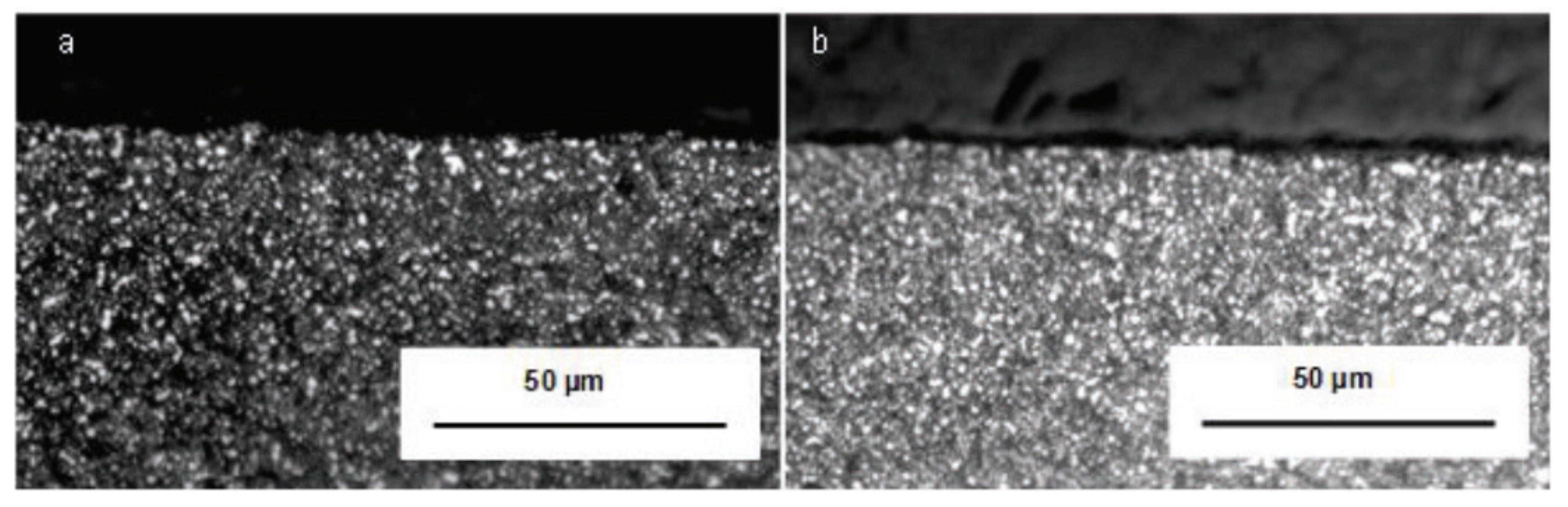 Materials 14 05162 g018