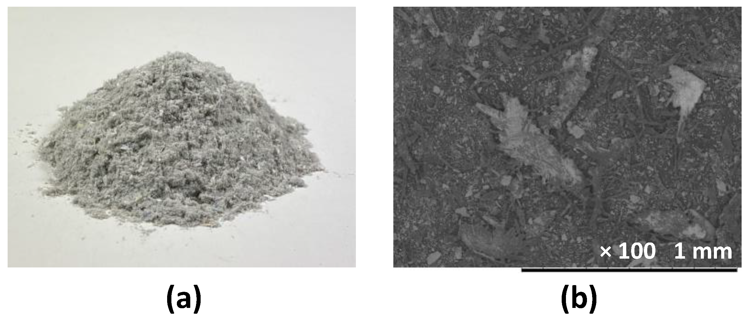 Materials 14 05164 g002 550