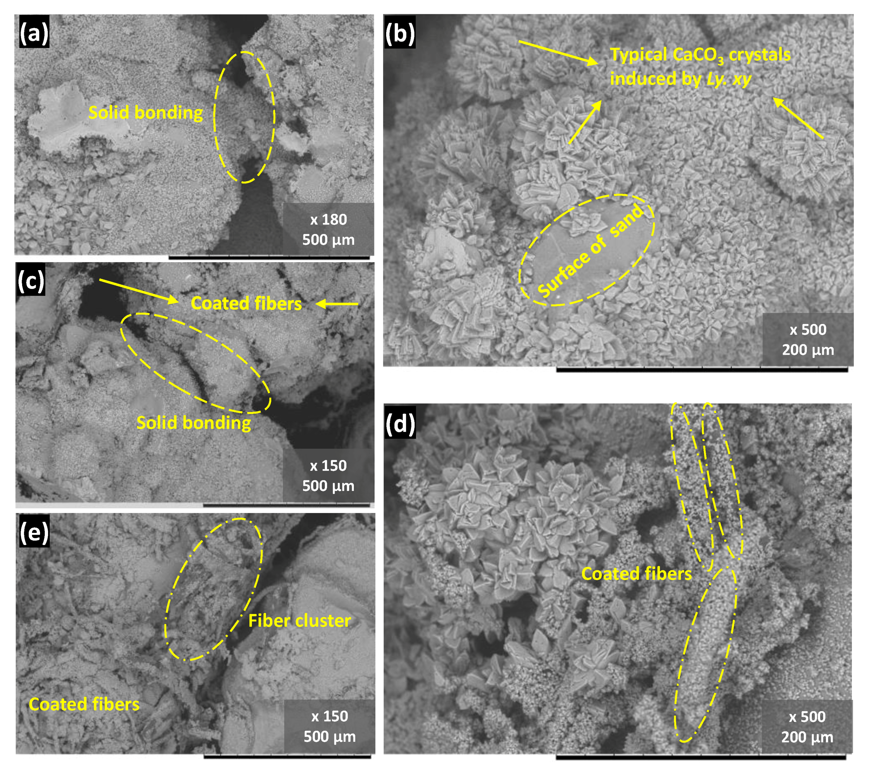 Materials 14 05164 g011 550