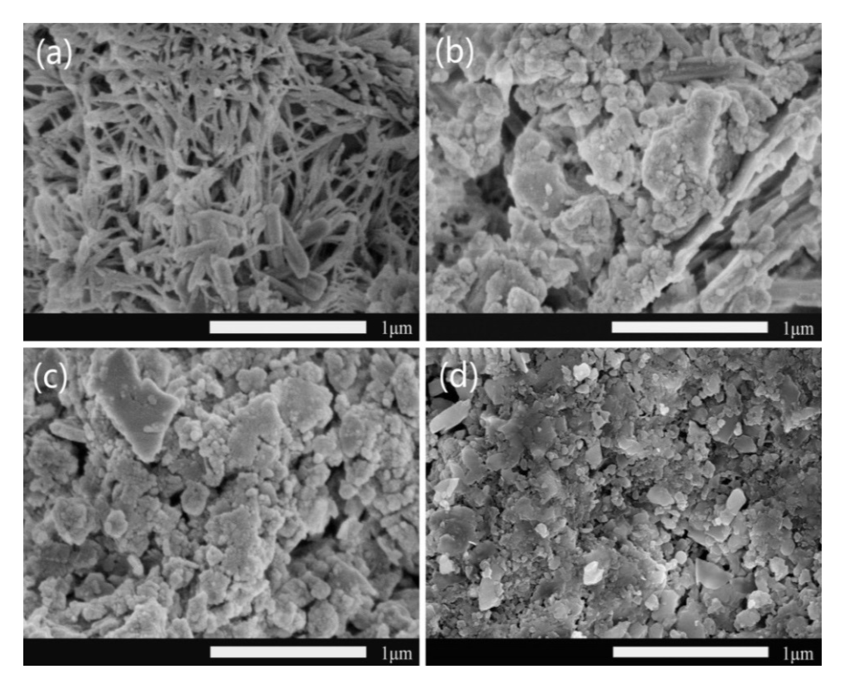 Materials 14 05166 g005 550