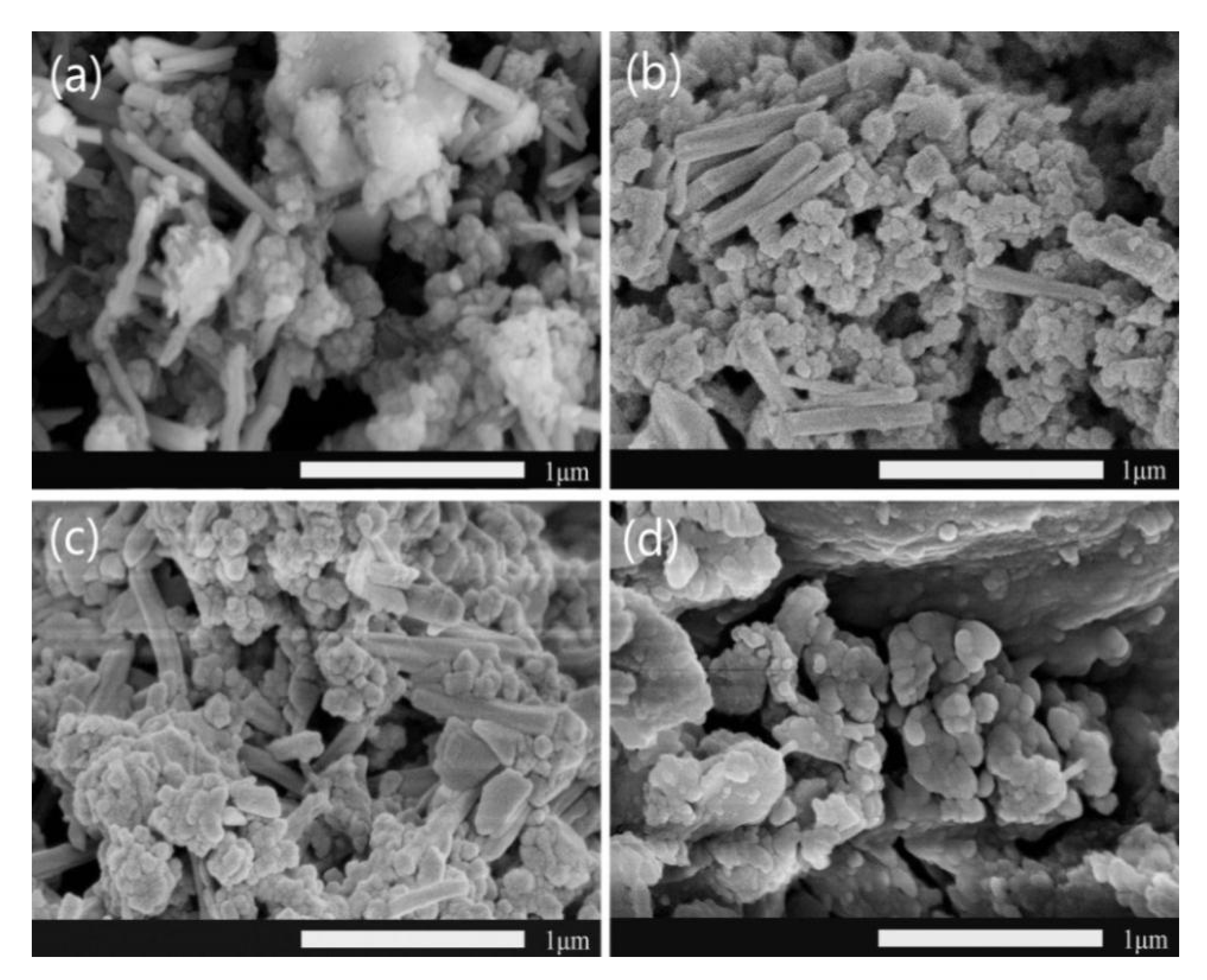 Materials 14 05166 g006 550