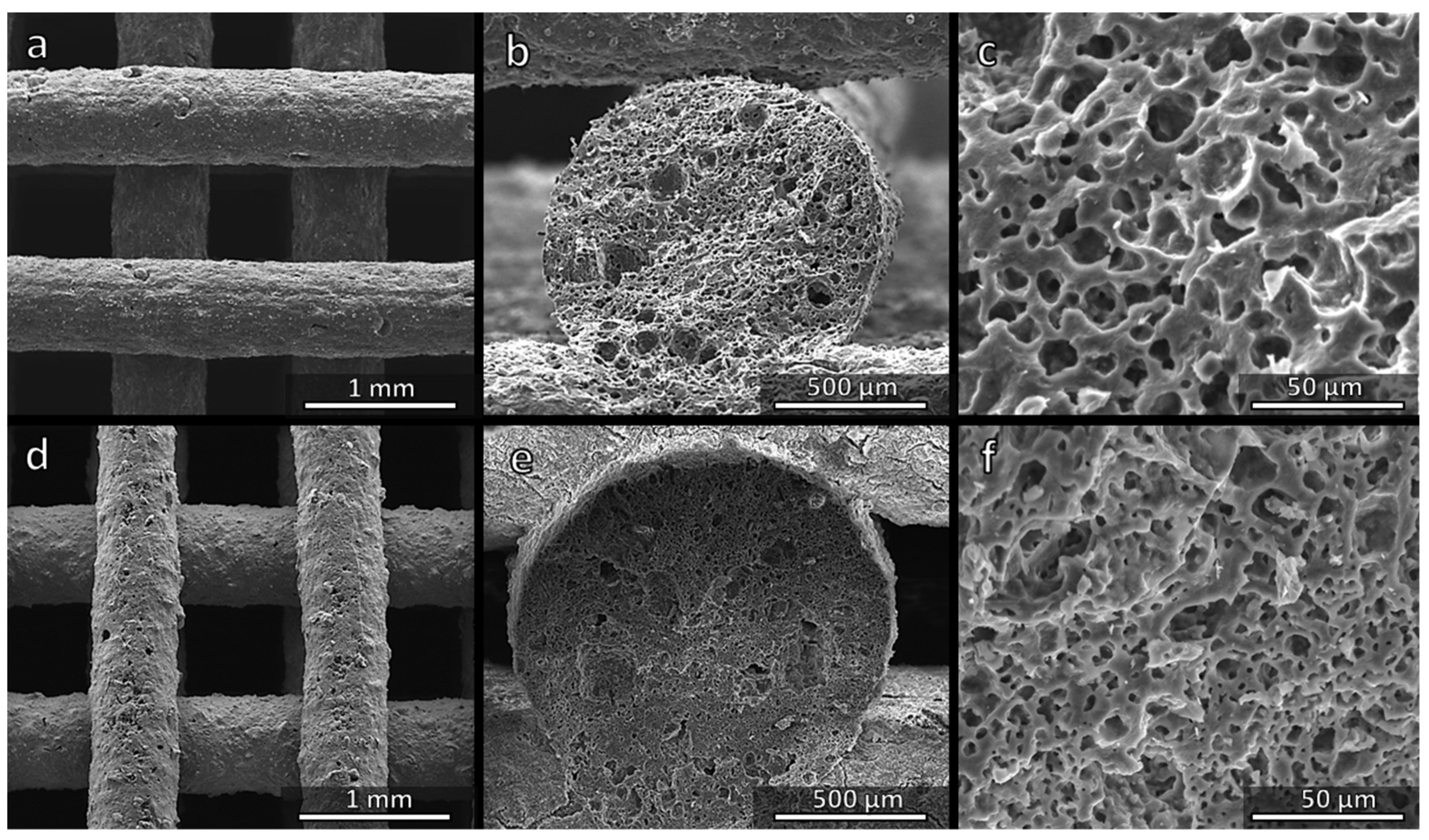 Materials 14 05170 g004 550