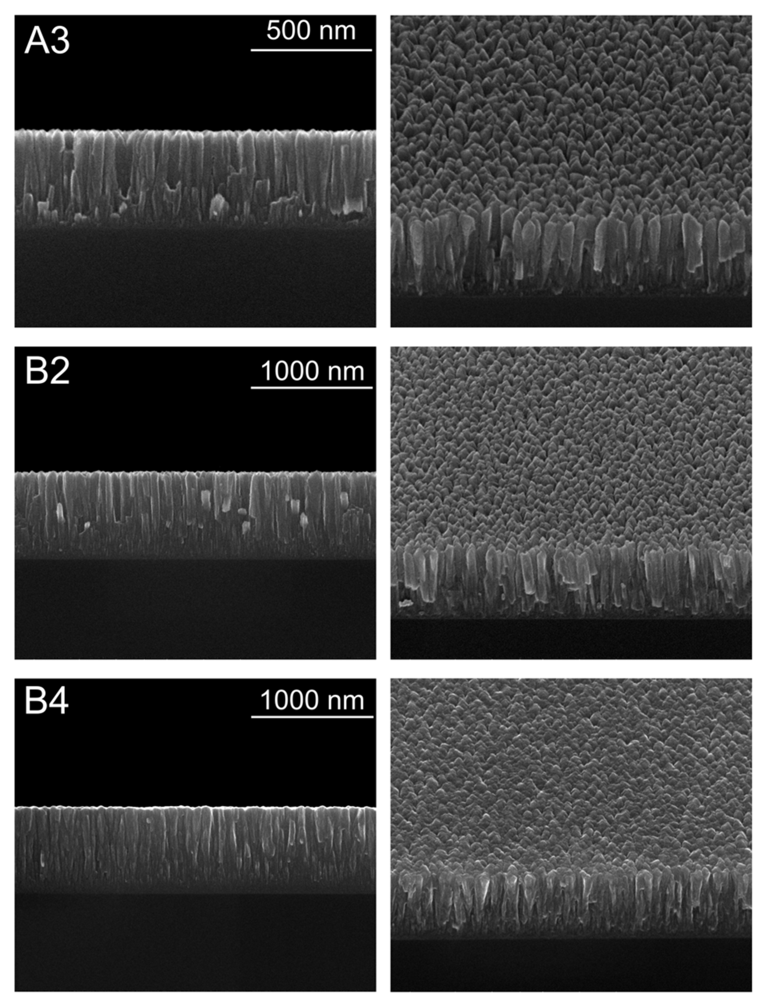 Materials 14 05175 g003 550