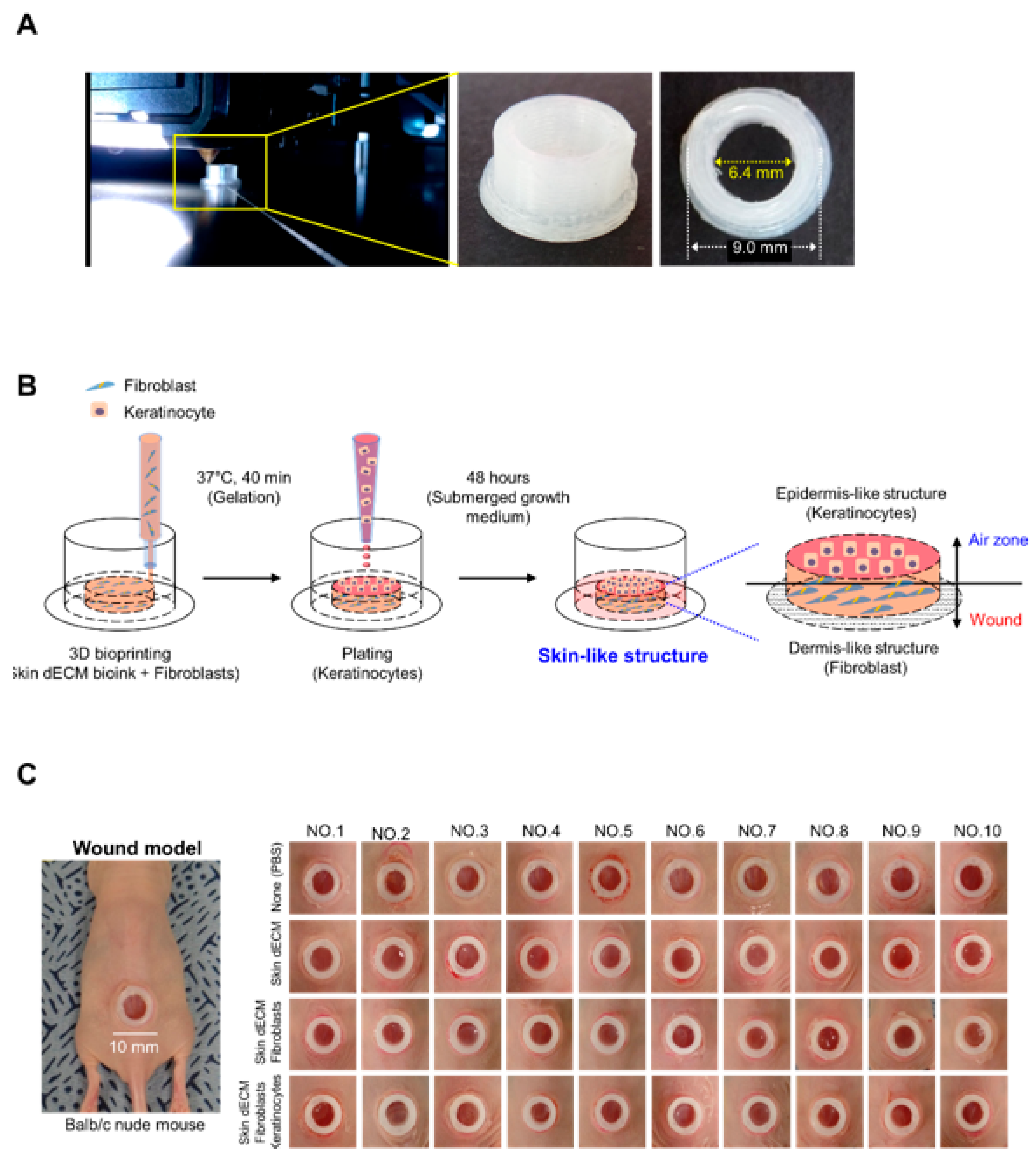 Materials 14 05177 g002