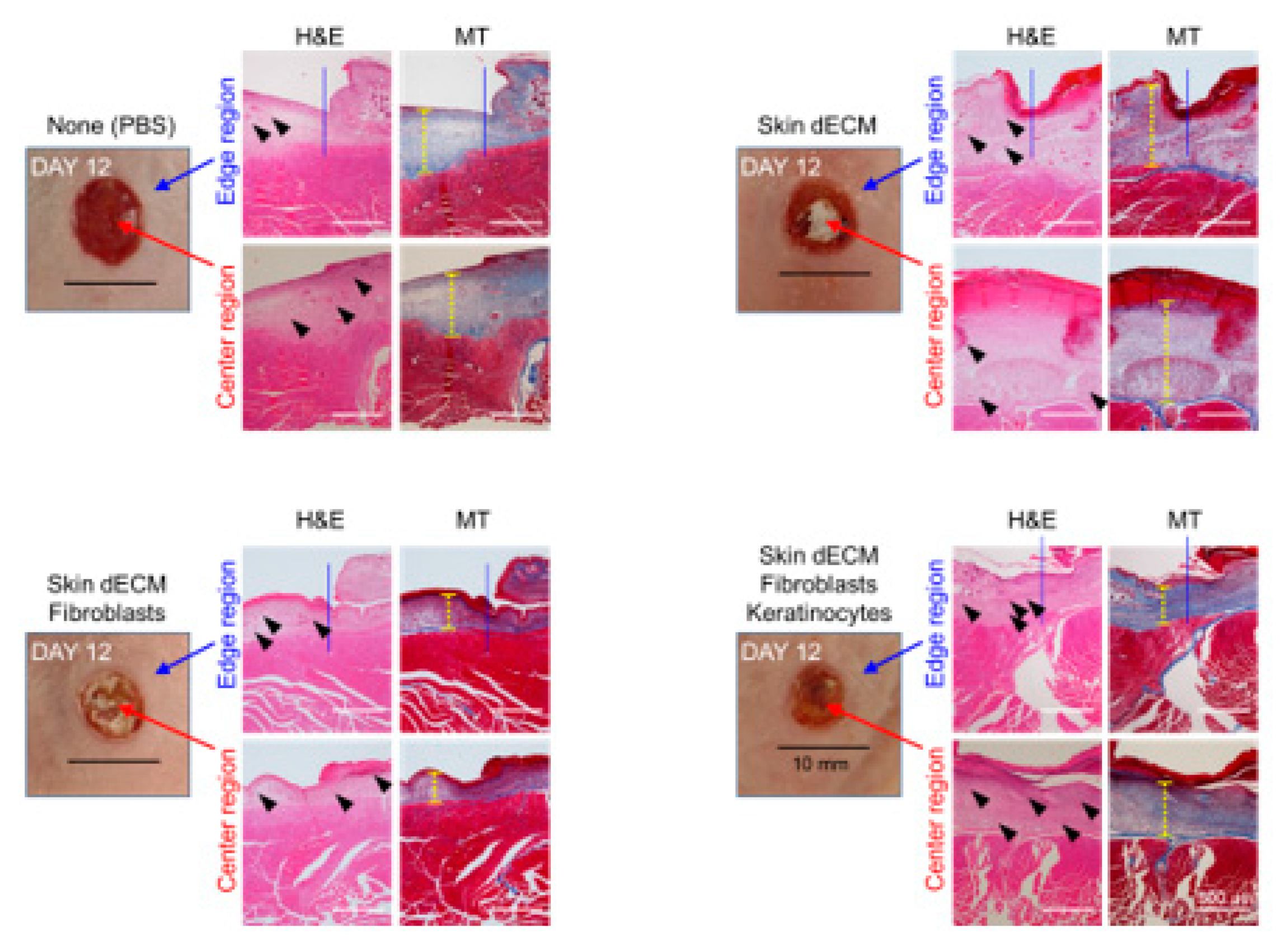 Materials 14 05177 g006