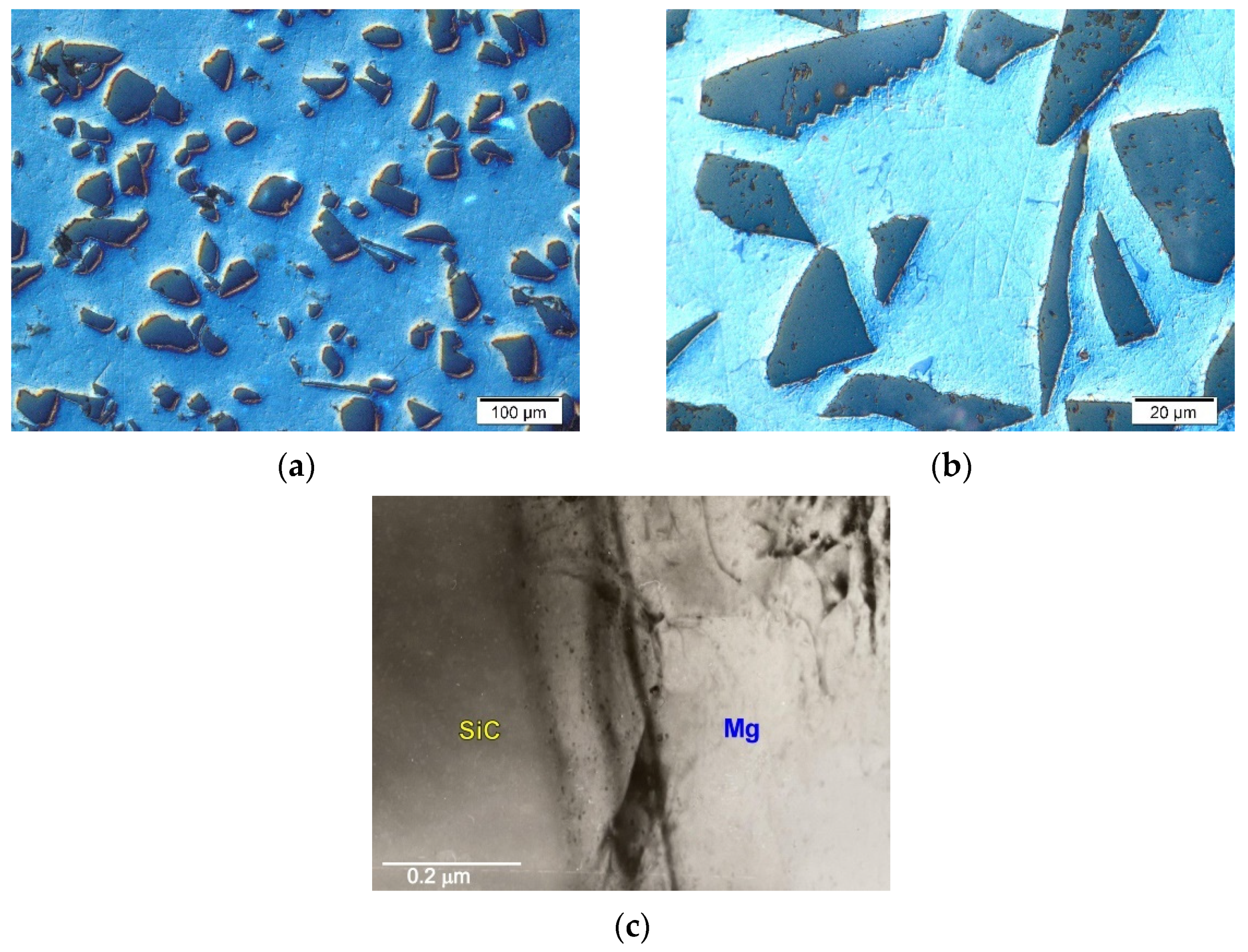 Materials 14 05182 g001