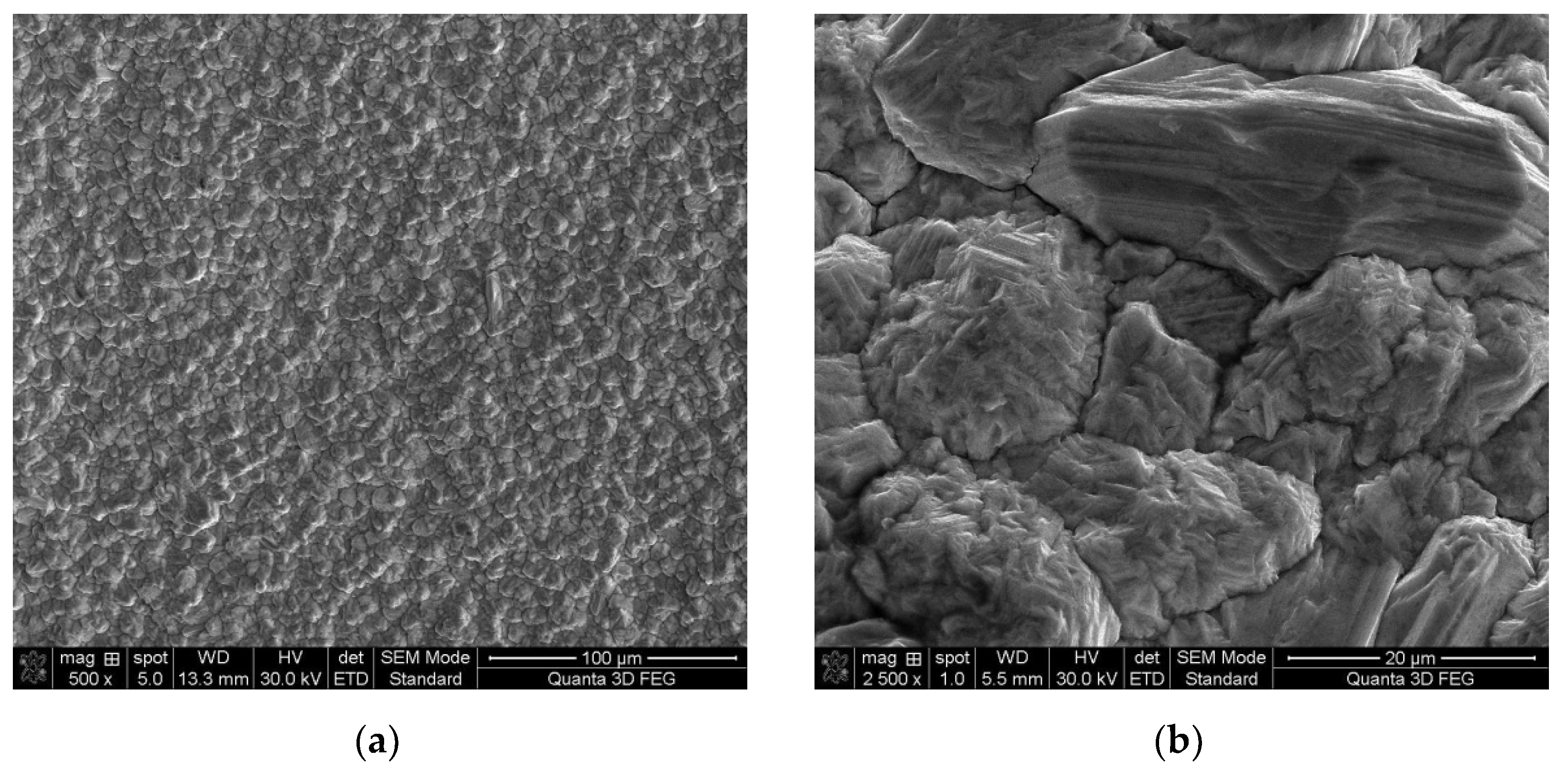 Materials 14 05186 g002 550