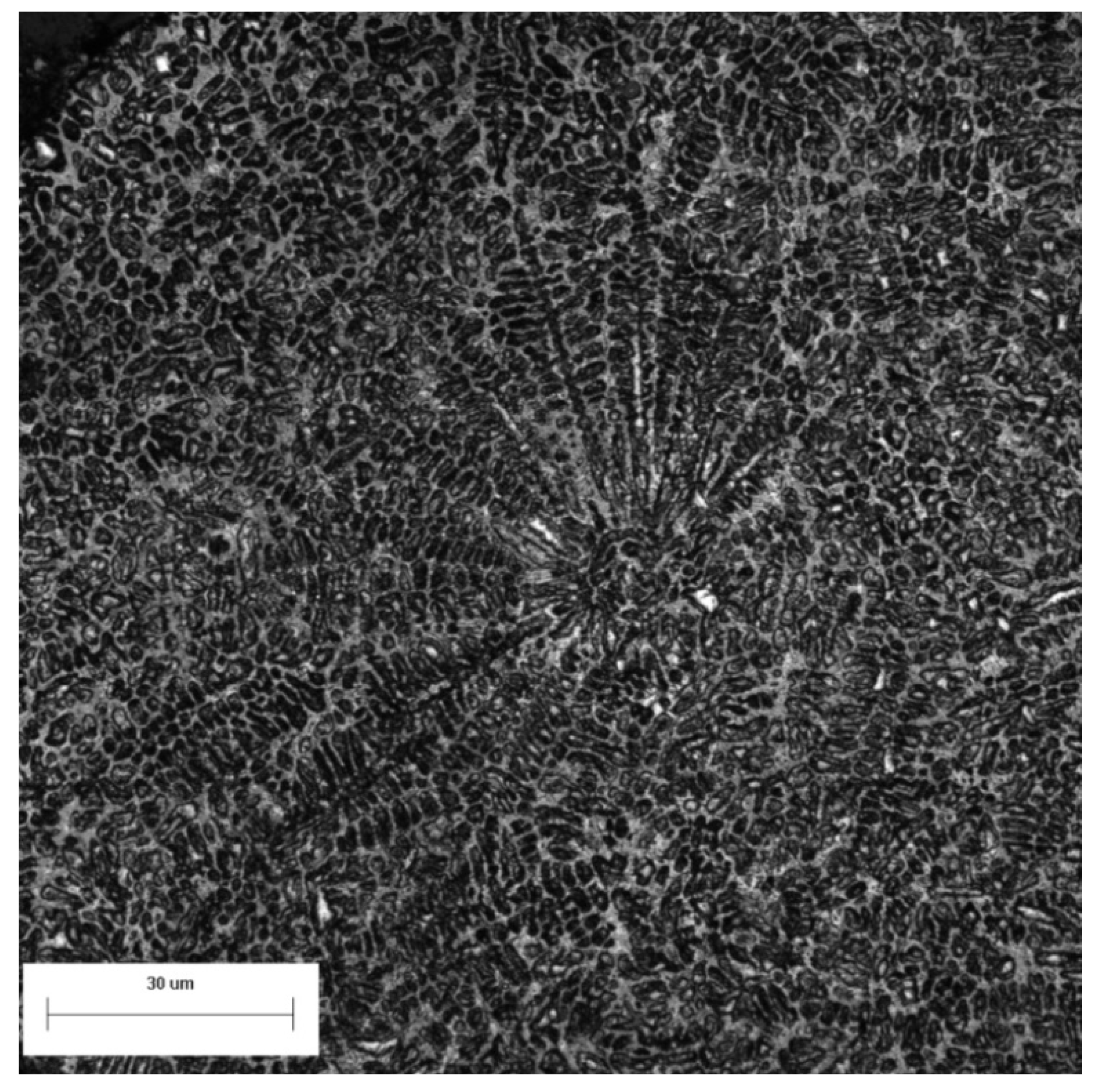 Materials 14 05188 g010 550