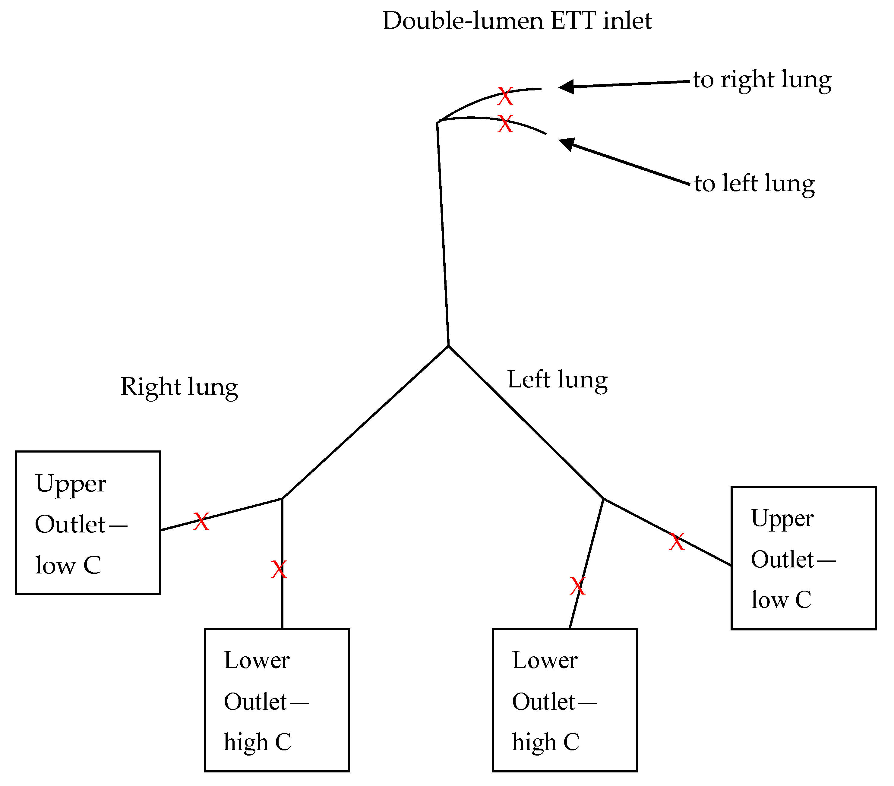 Materials 14 05189 g002