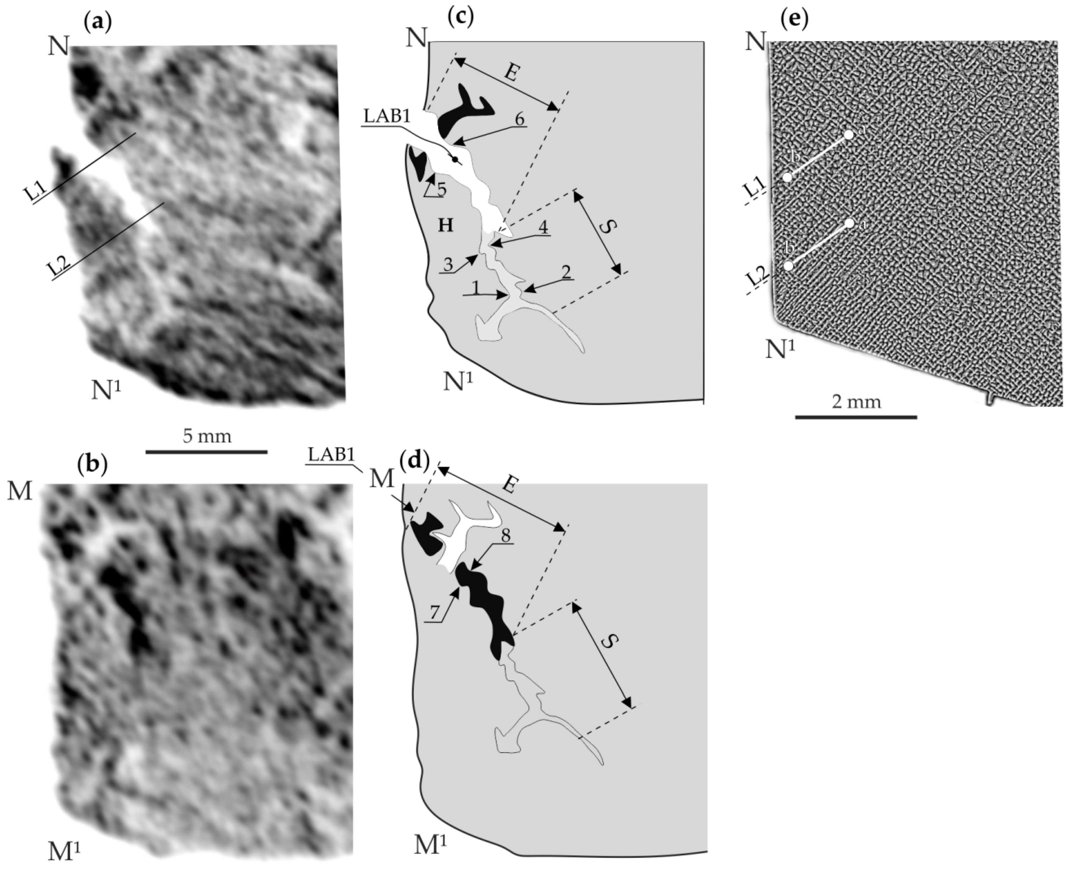 Materials 14 05194 g003 550