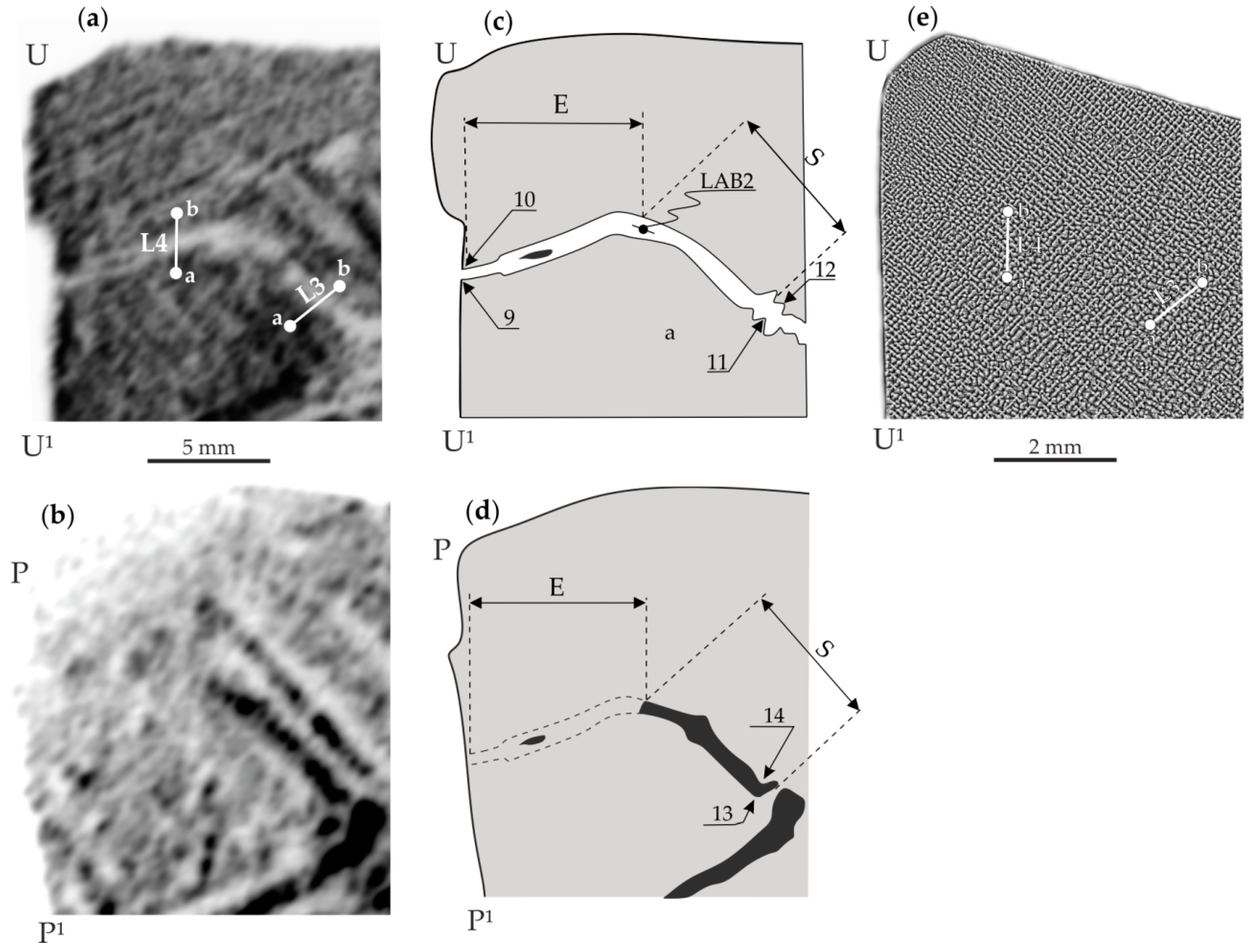 Materials 14 05194 g004 550