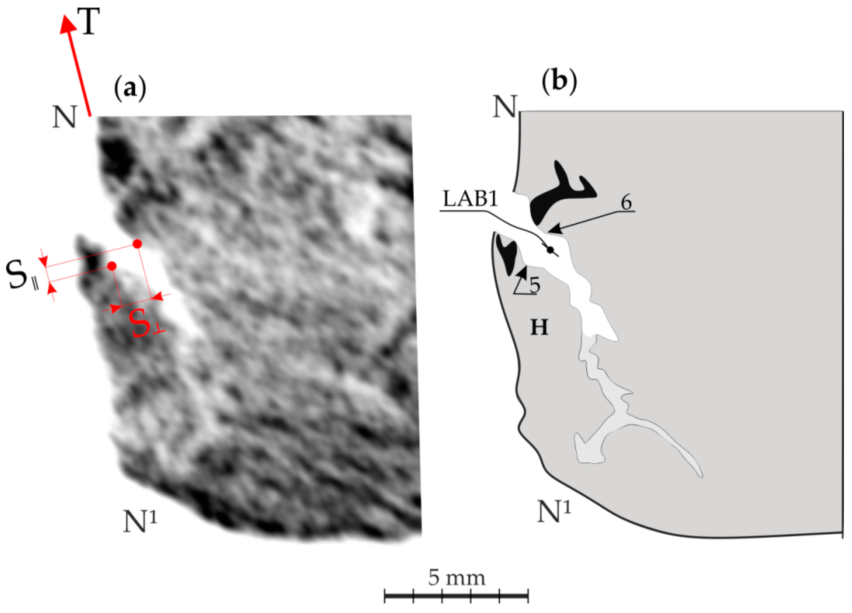 Materials 14 05194 g0a1 550
