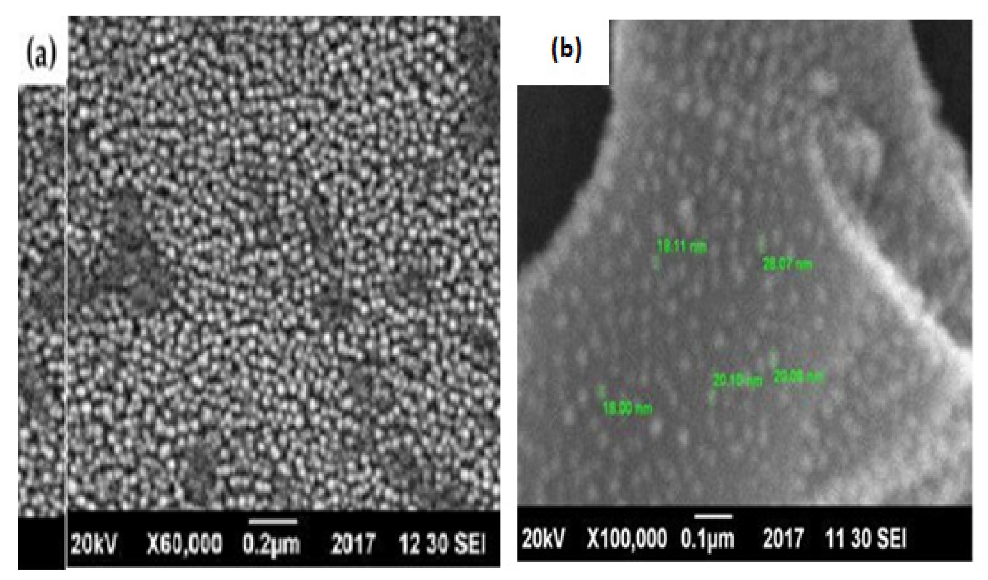 Materials 14 05195 g009