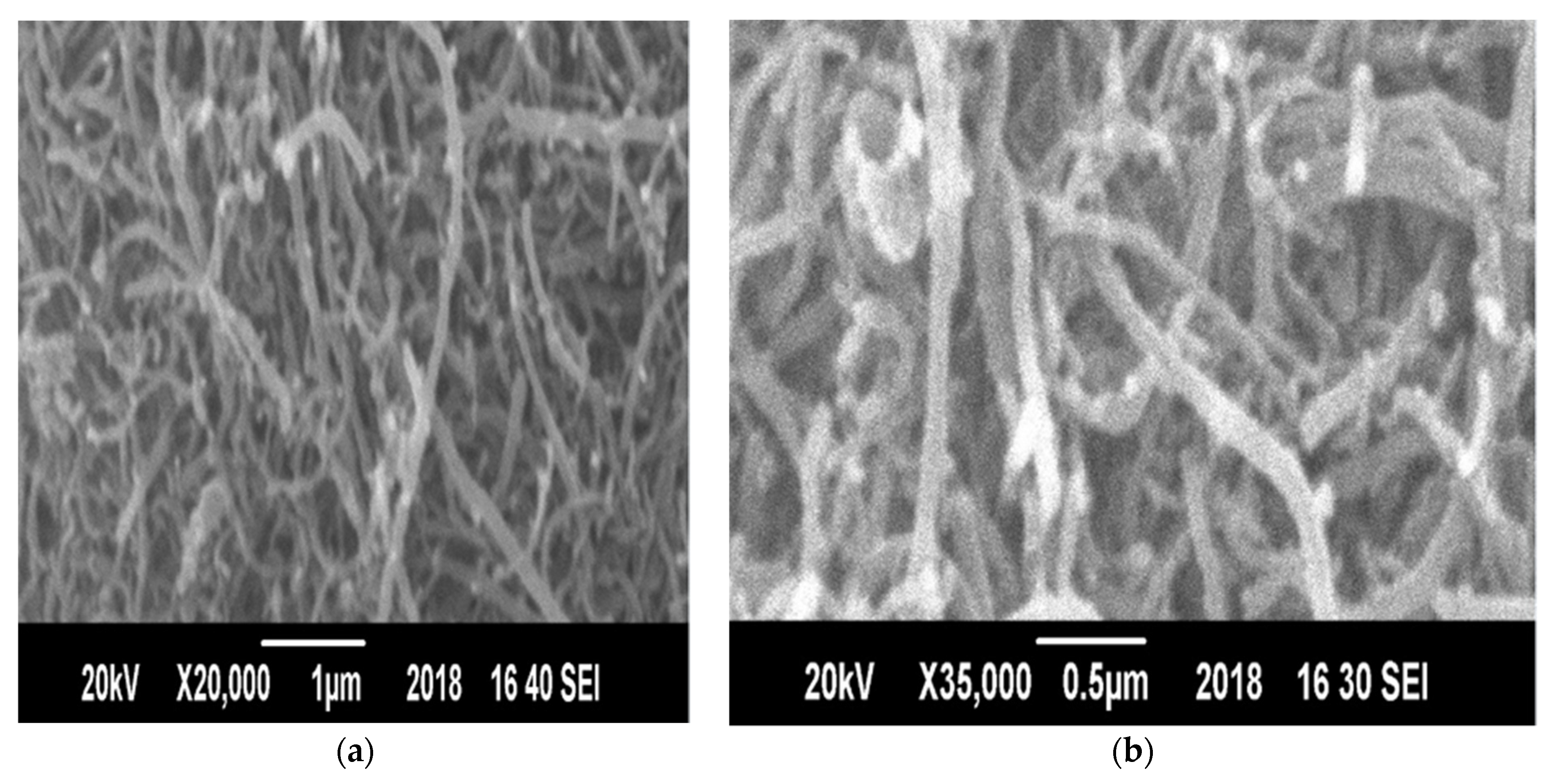 Materials 14 05195 g012a