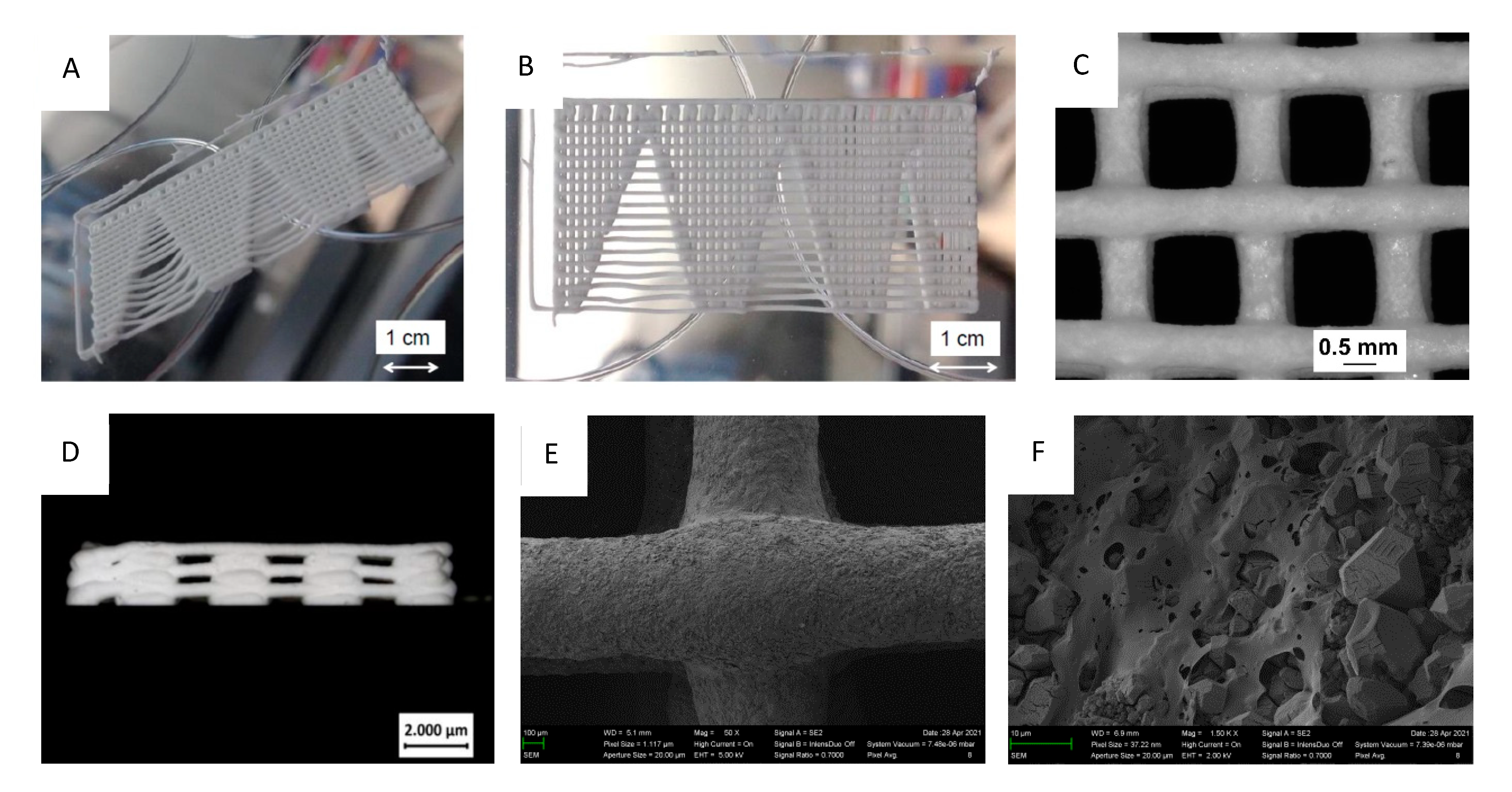 Materials 14 05197 g007 550