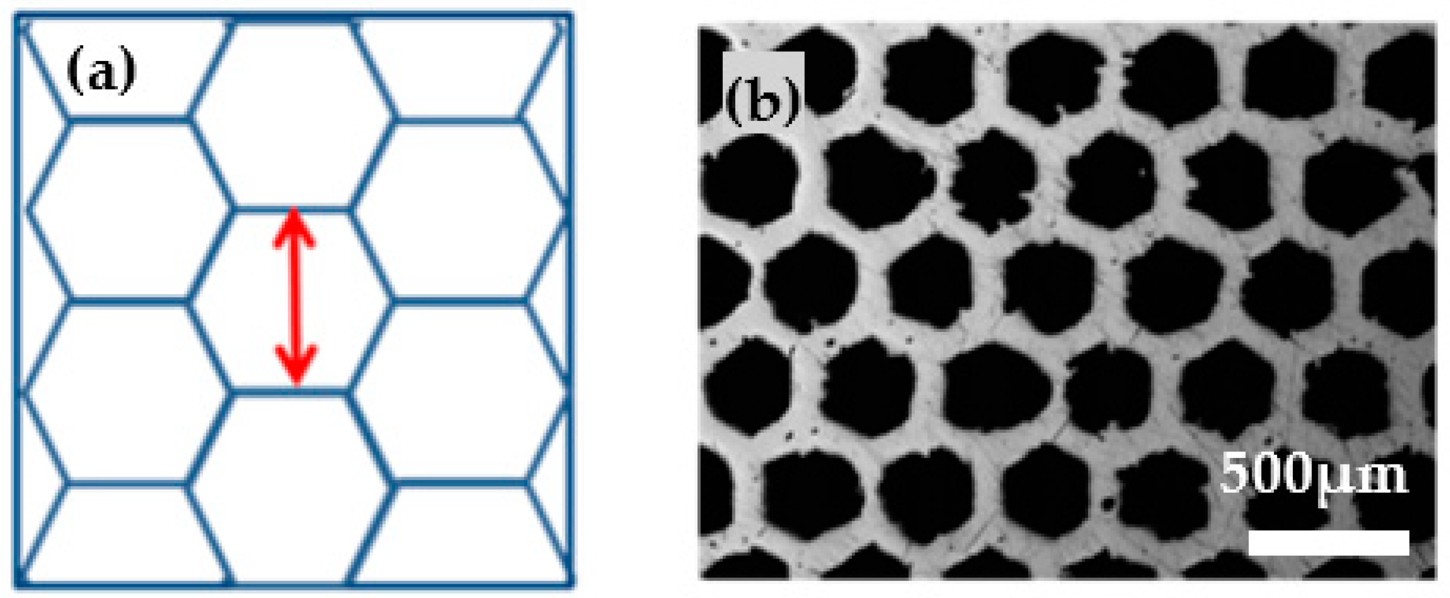 Materials 14 05205 g007 550