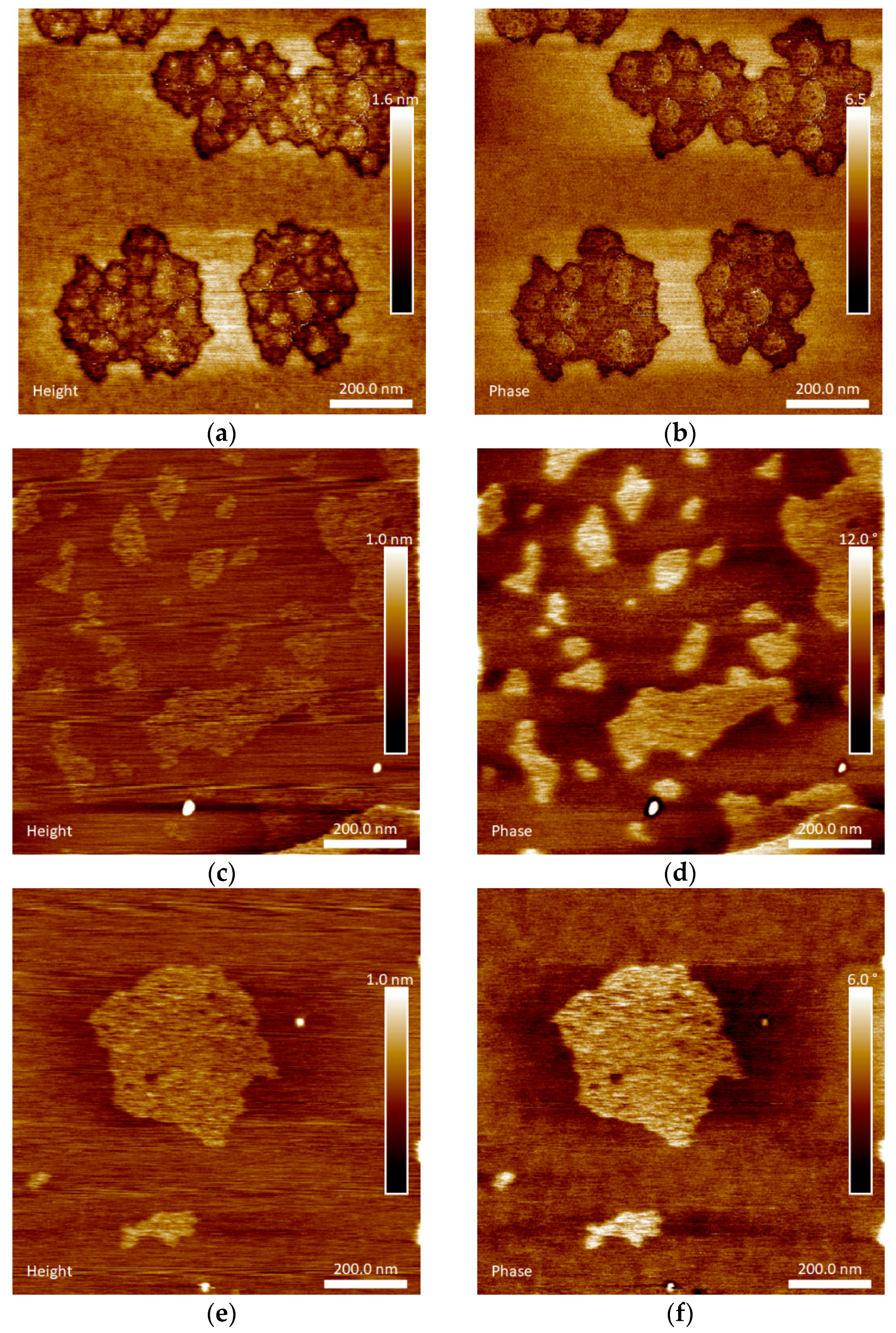 Materials 14 05207 g003