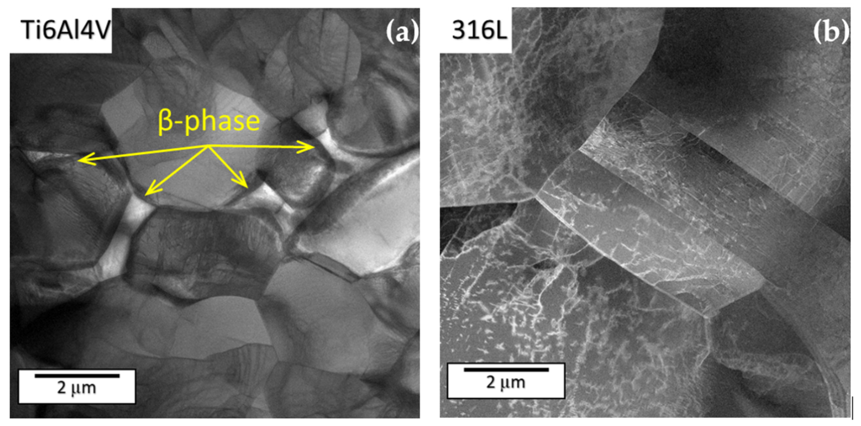 Materials 14 05212 g002 550