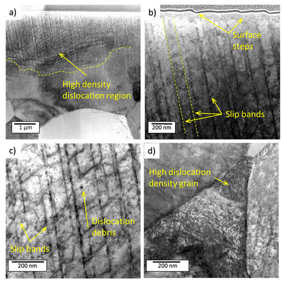 Surface and Subsurface Analysis of Stainless Steel and Titanium Alloys ...