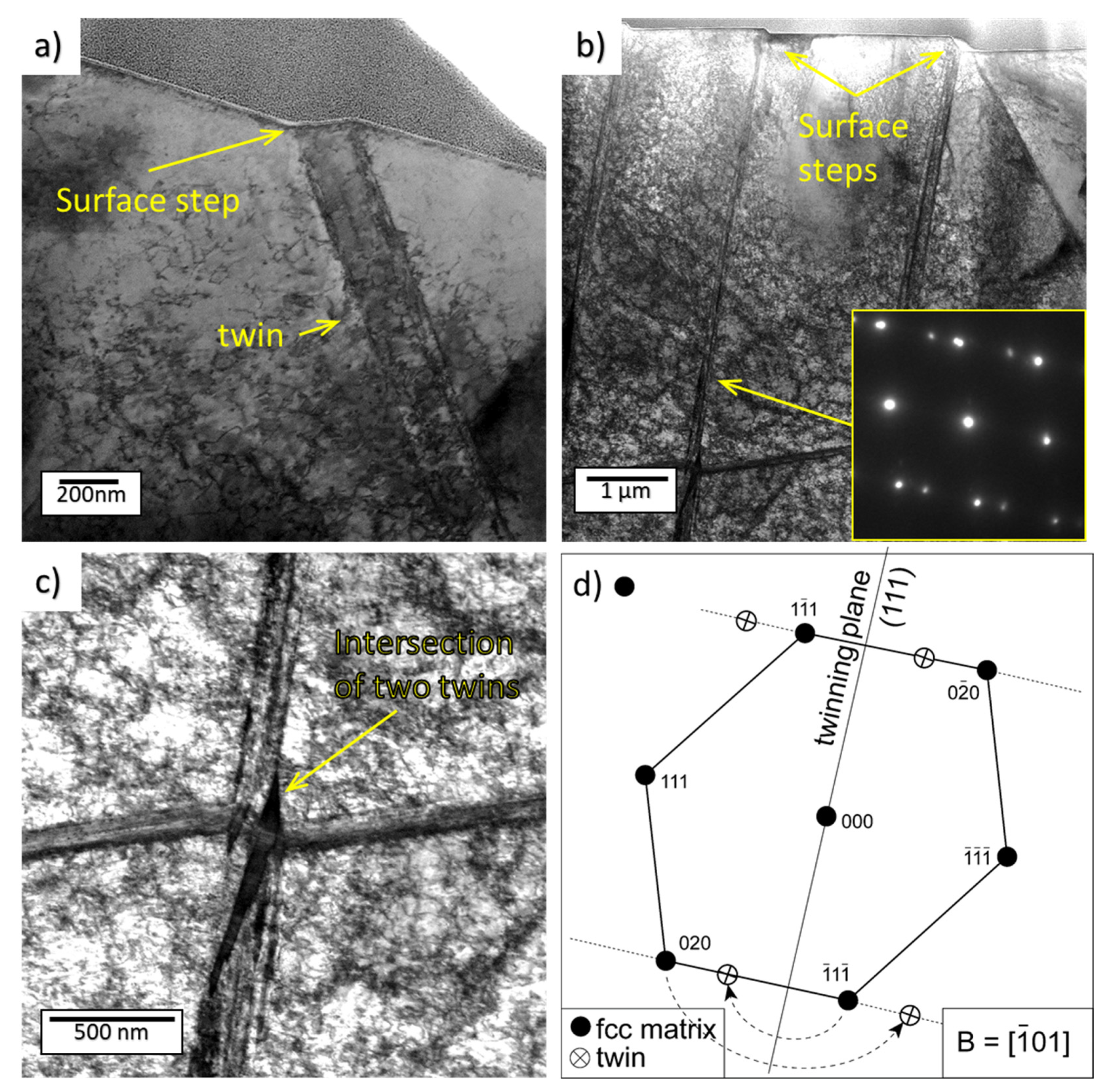 Materials 14 05212 g011 550