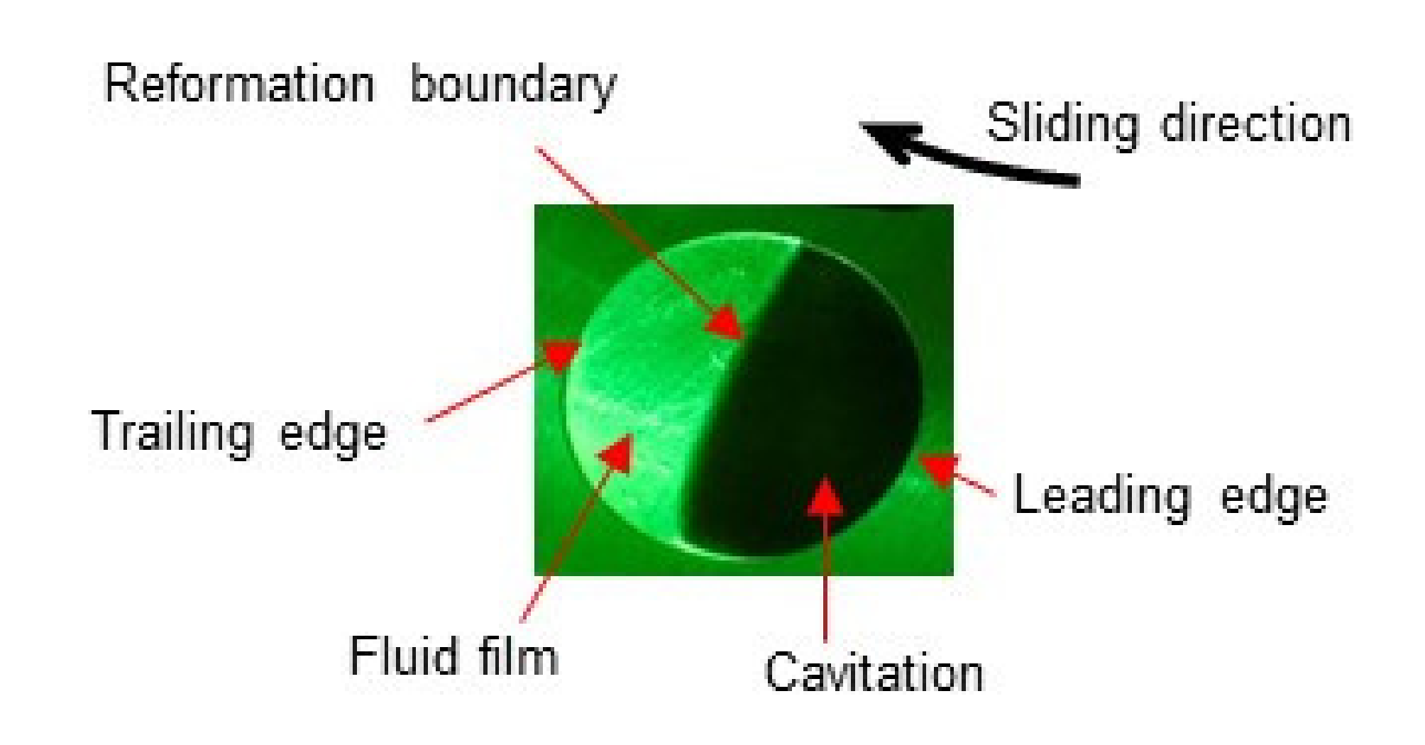 Materials 14 05222 g007 550