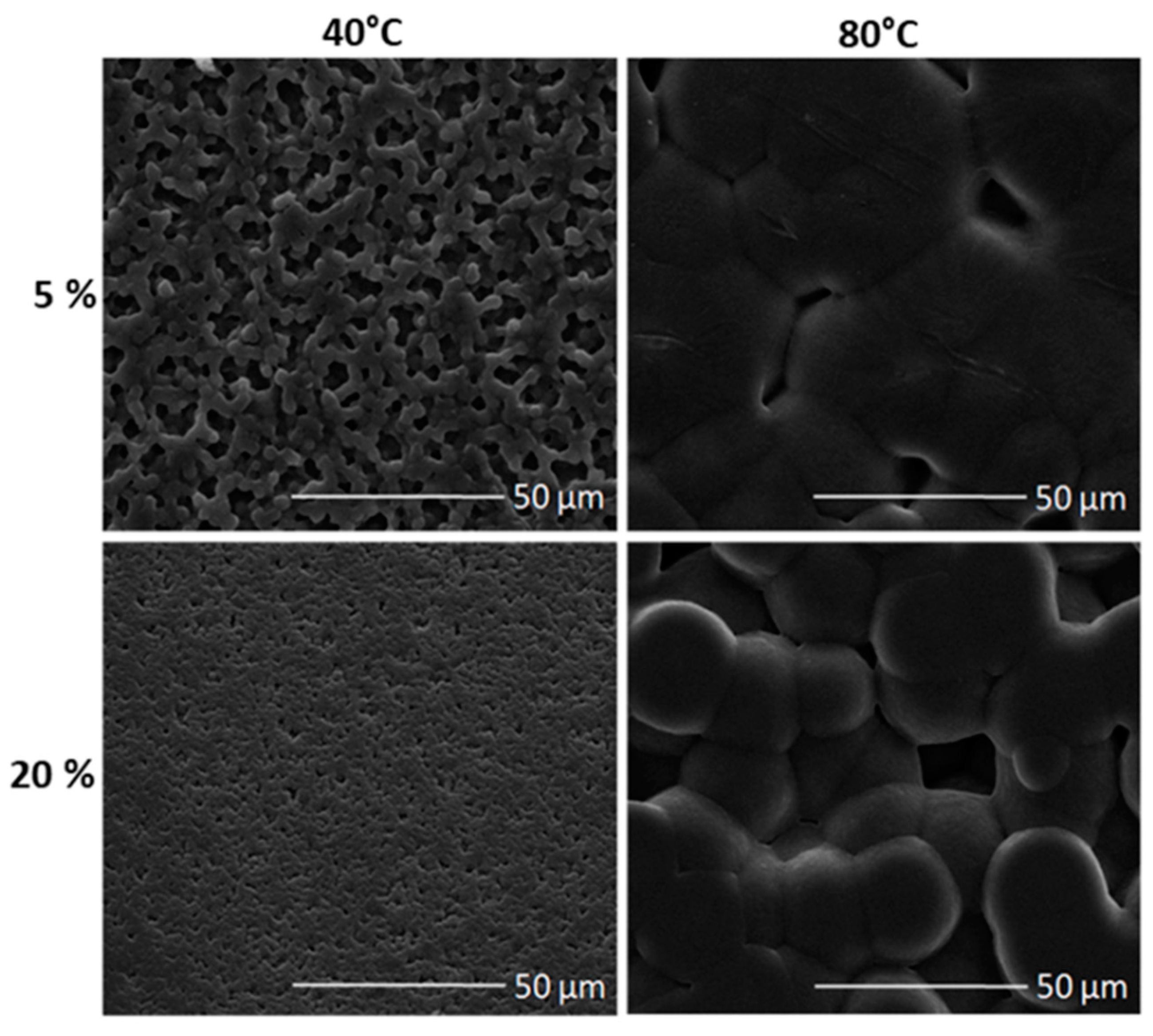 Materials 14 05232 g001 550