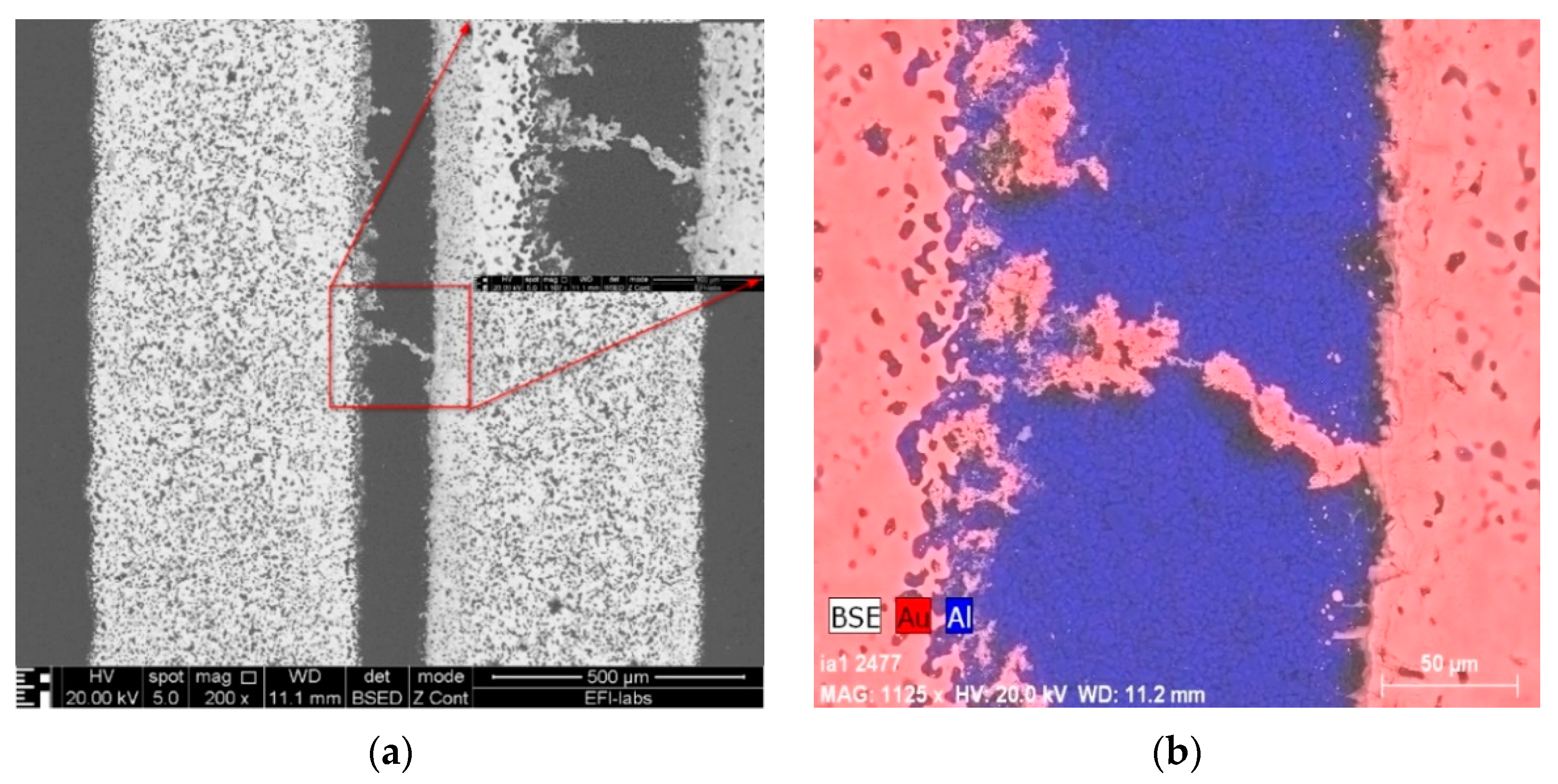 Materials 14 05237 g006