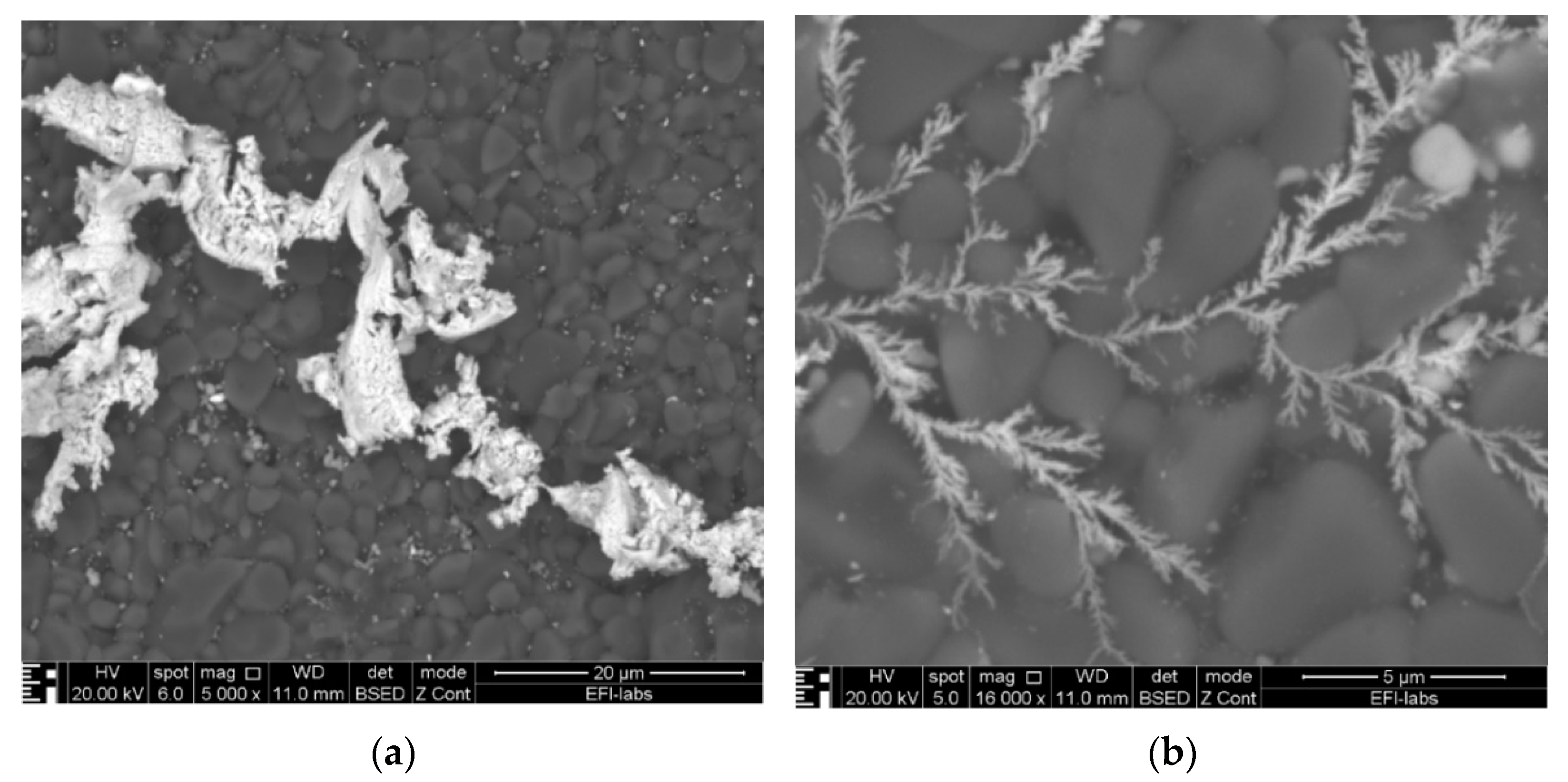 Materials 14 05237 g007