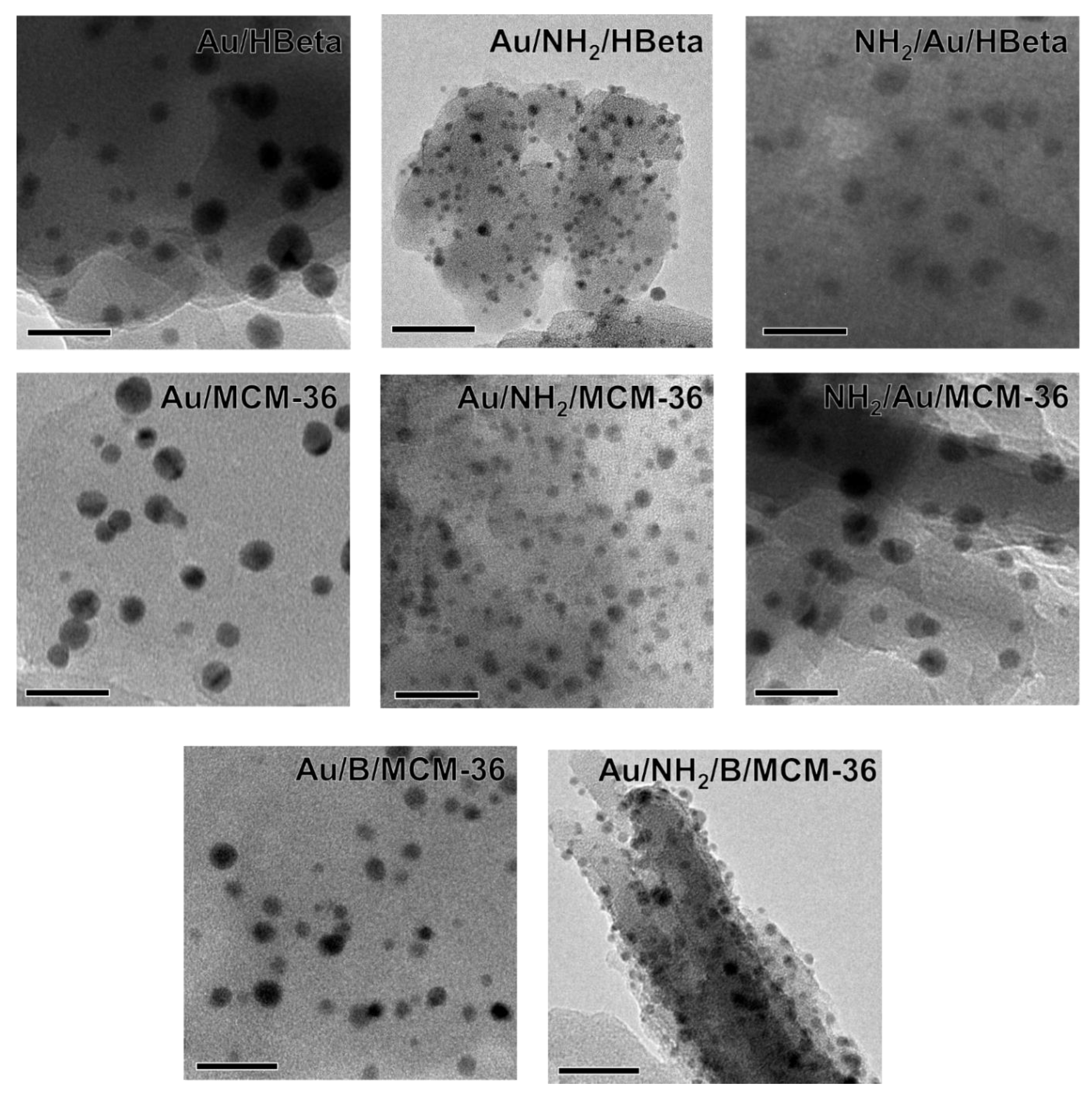 Materials 14 05250 g002 550