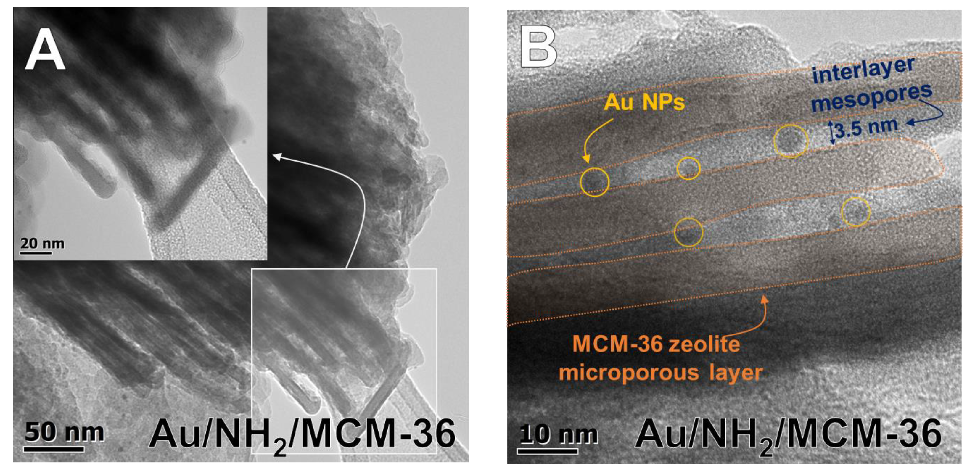 Materials 14 05250 g003 550
