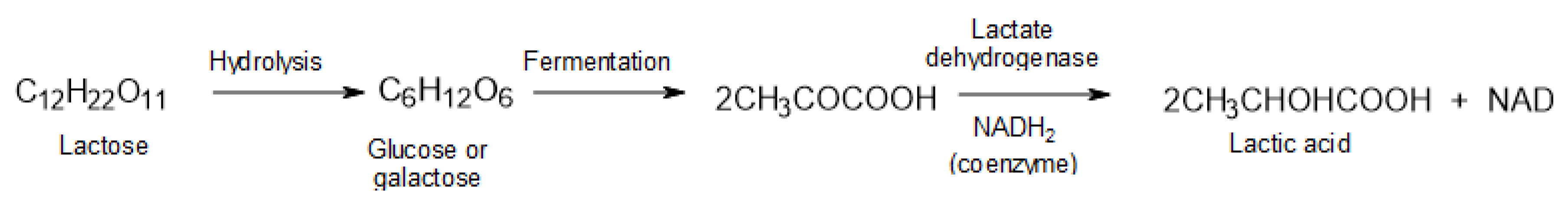 Materials 14 05254 g003 550