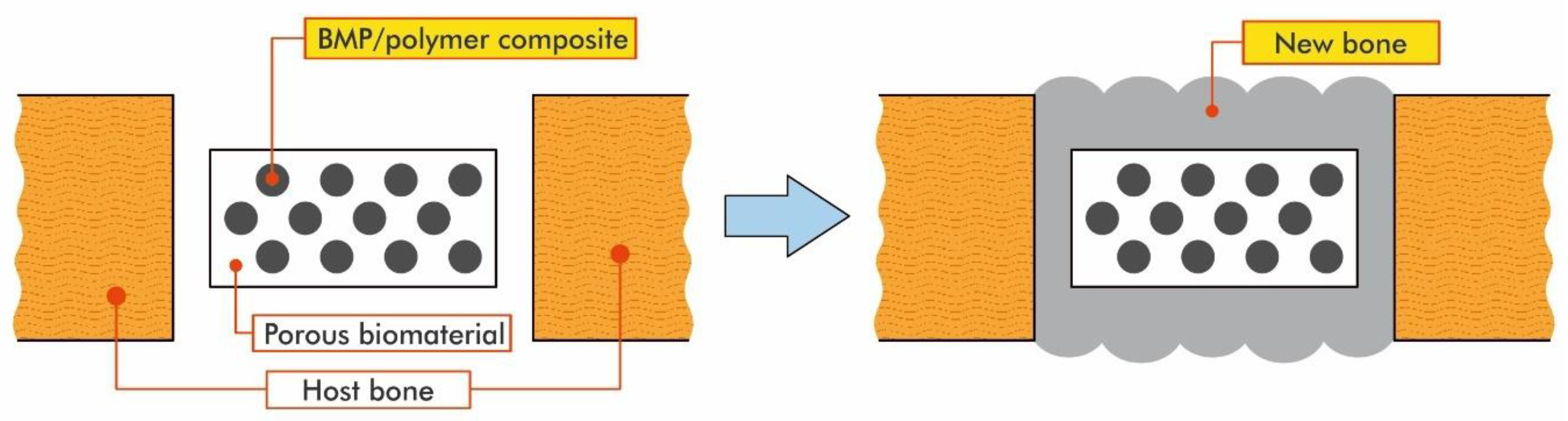 Materials 14 05254 g025 550